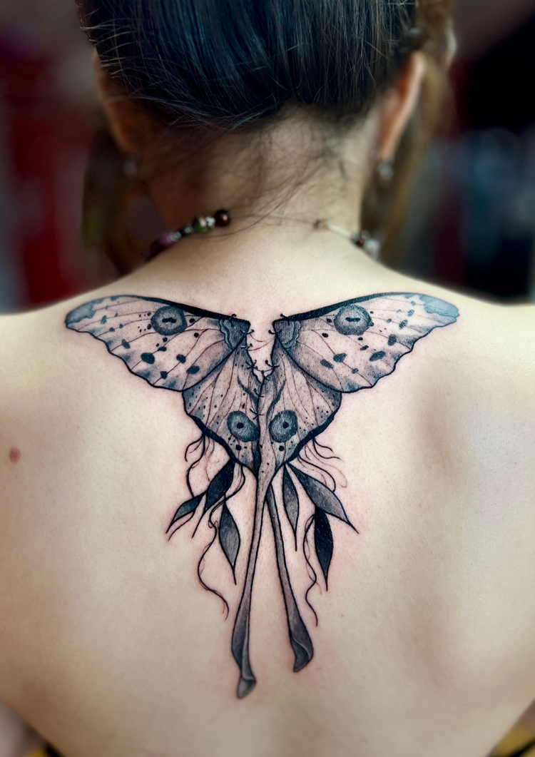 Black and grey butterfly tattoo on the upper back by Alex