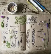 download.webp (Copy)