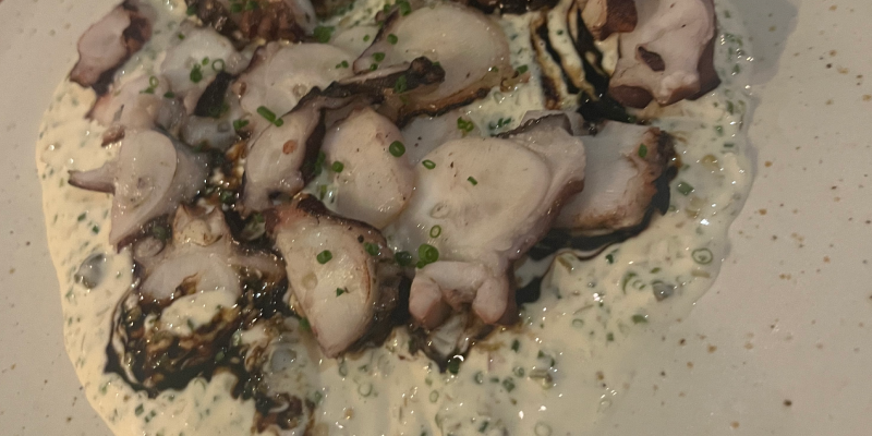 Plato de pulpo en rodajas servido sobre una base cremosa y decorado con hierbas y salsa oscura.