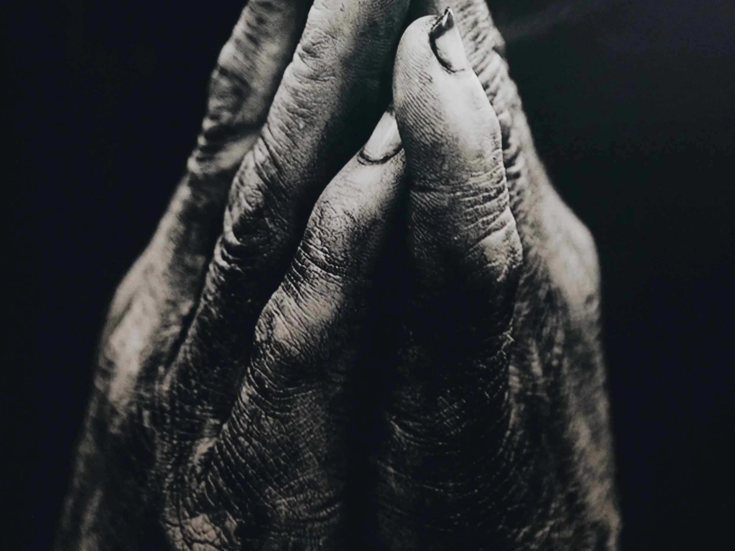 S5 Ep. 5 / What is God Doing in My Suffering?