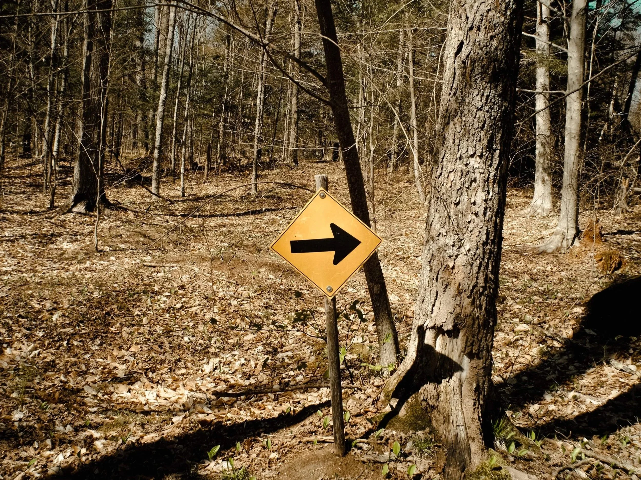 S4 Ep. 7 / Bitterness