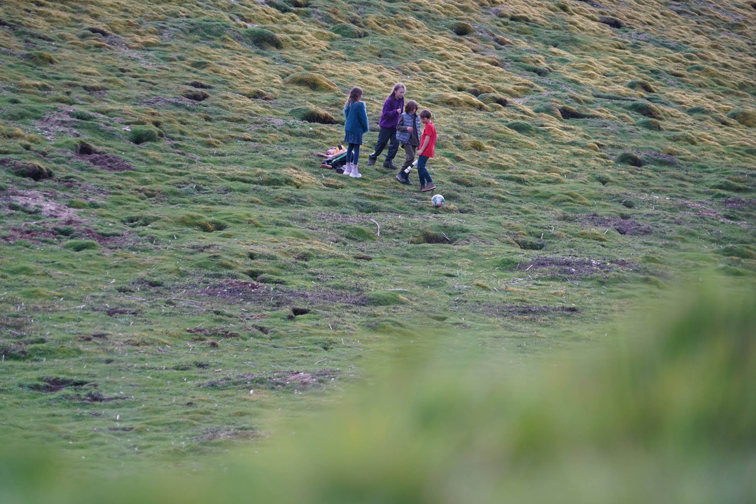 DSC08647.jpg