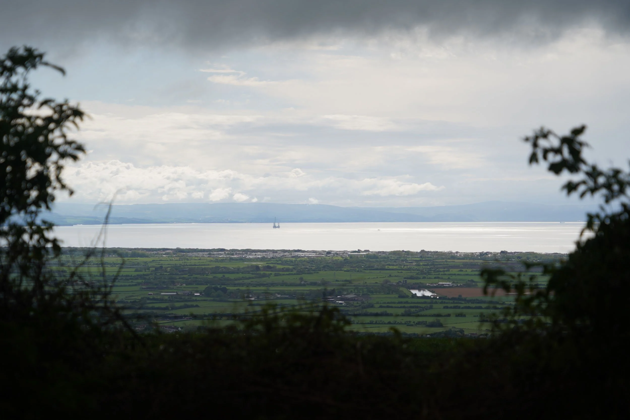 DSC07537.jpg