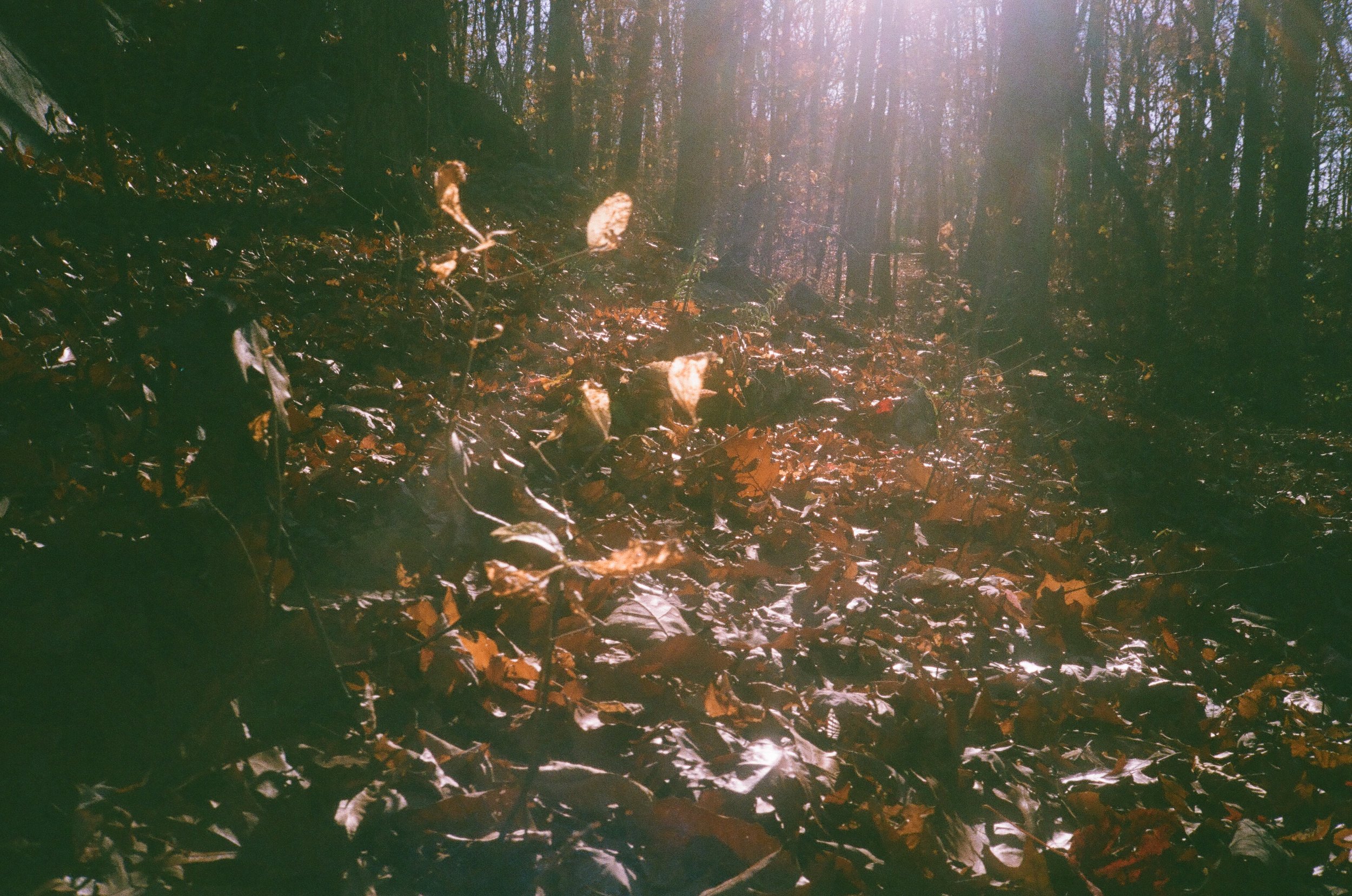 post 000086240003.jpg