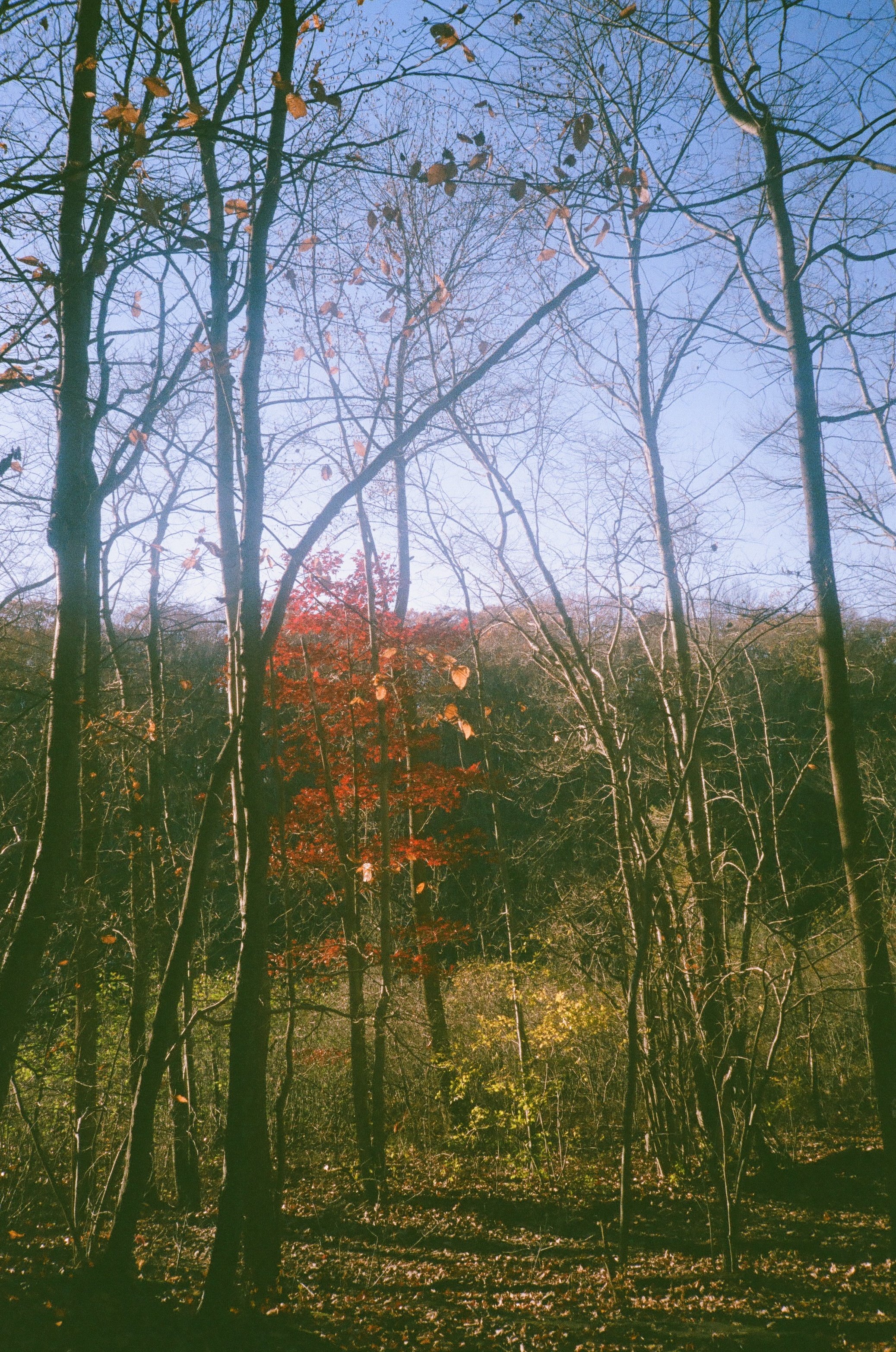 post 000086240010.jpg