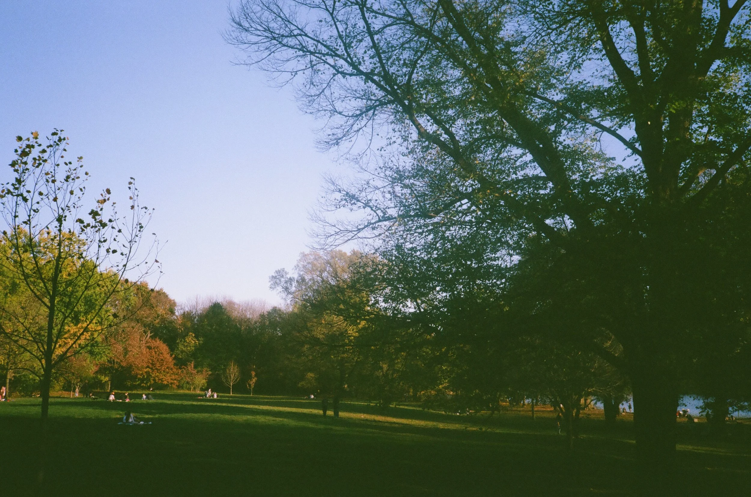 post 000086240021.jpg