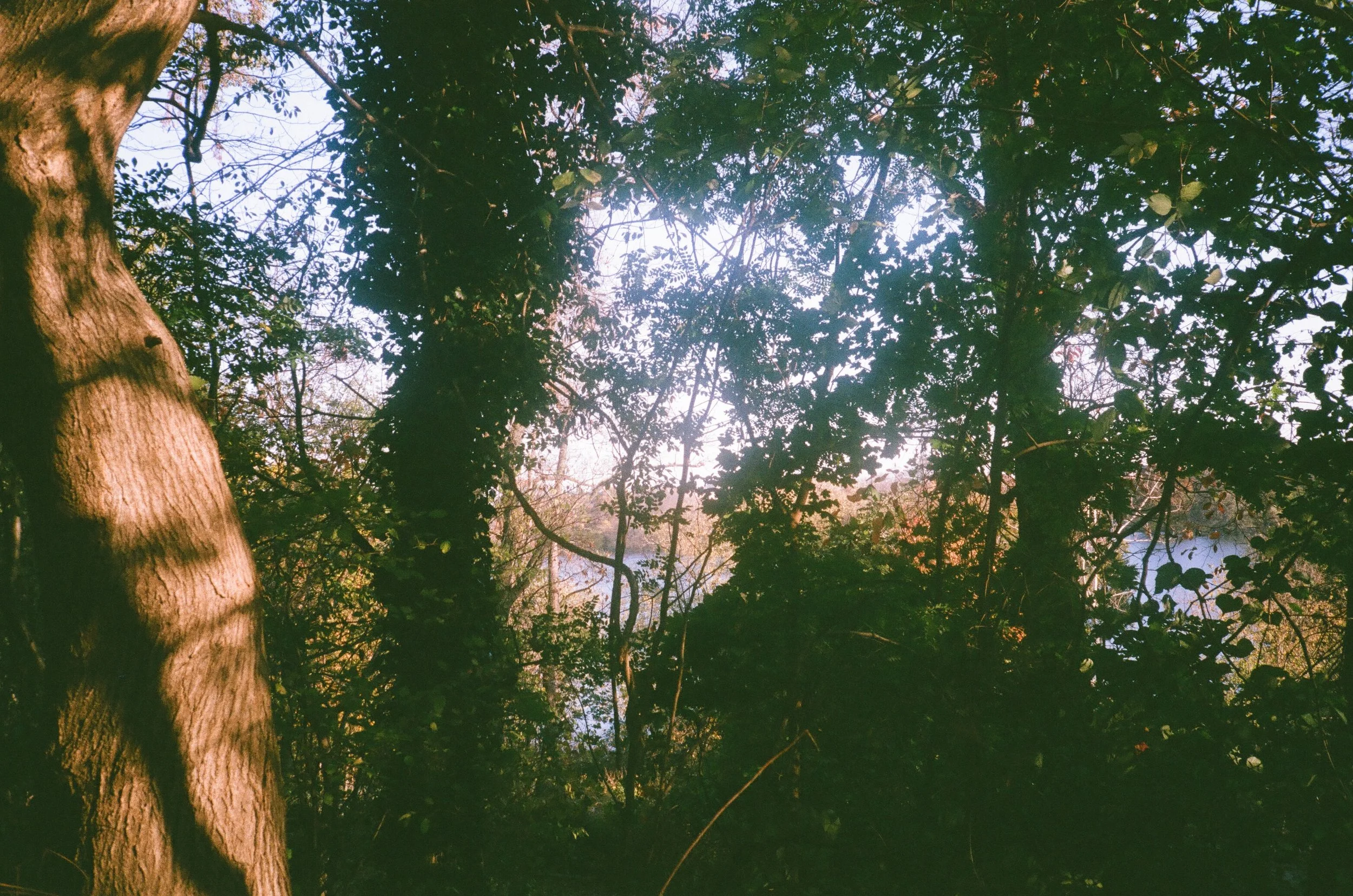 post 000086240027.jpg