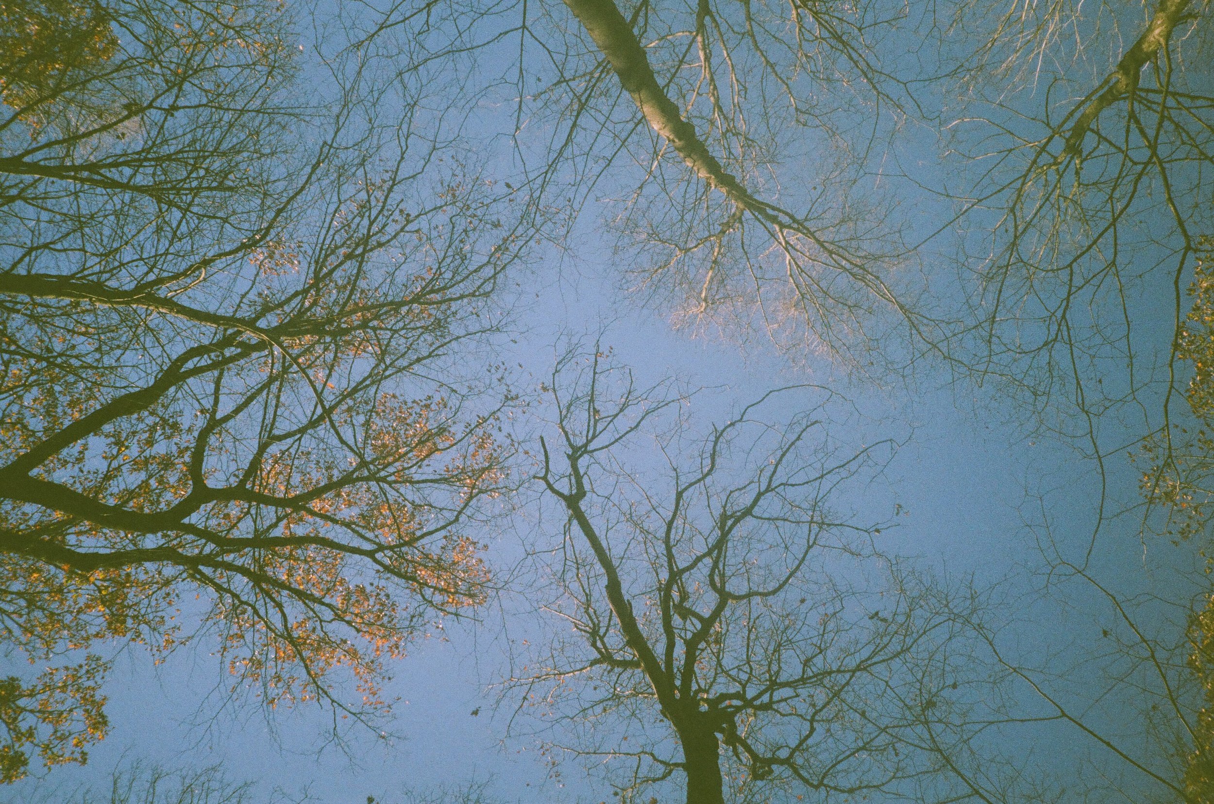 post 000086240002.jpg