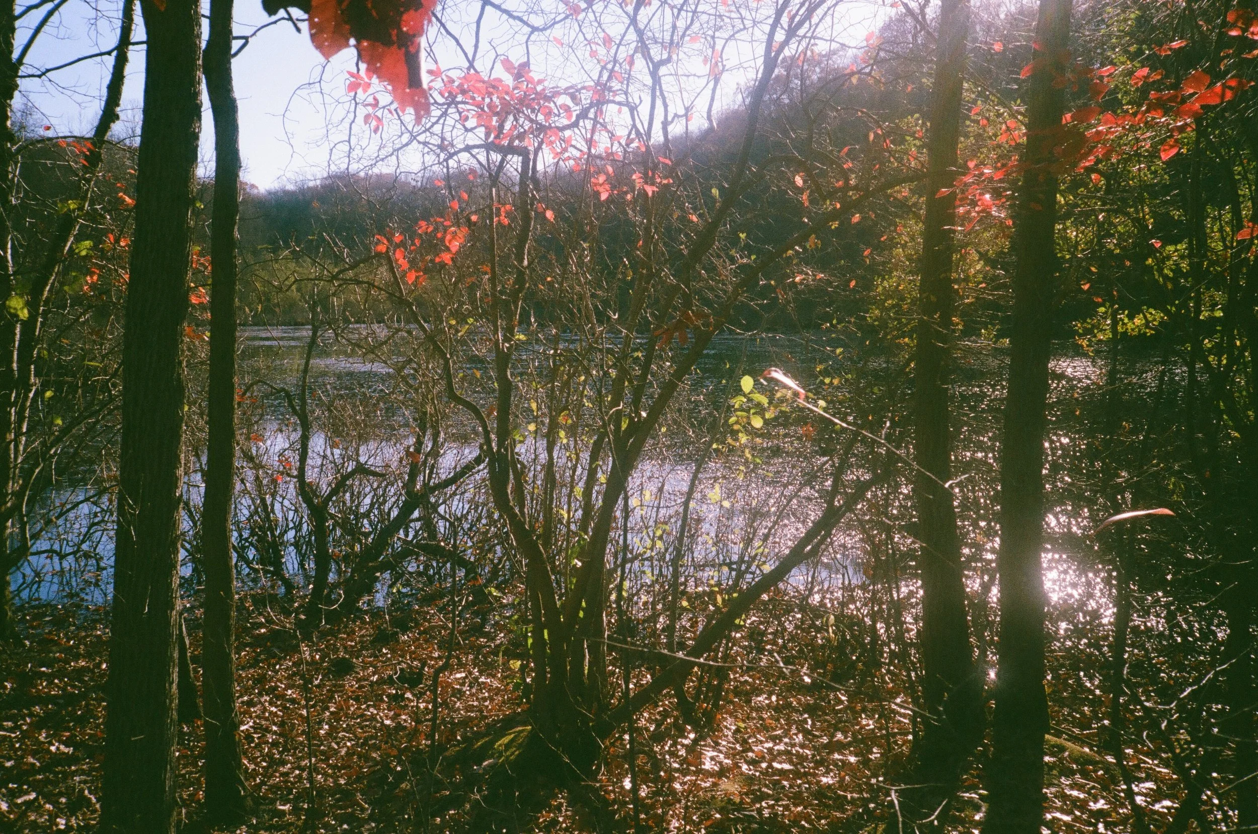 post 000086240008.jpg