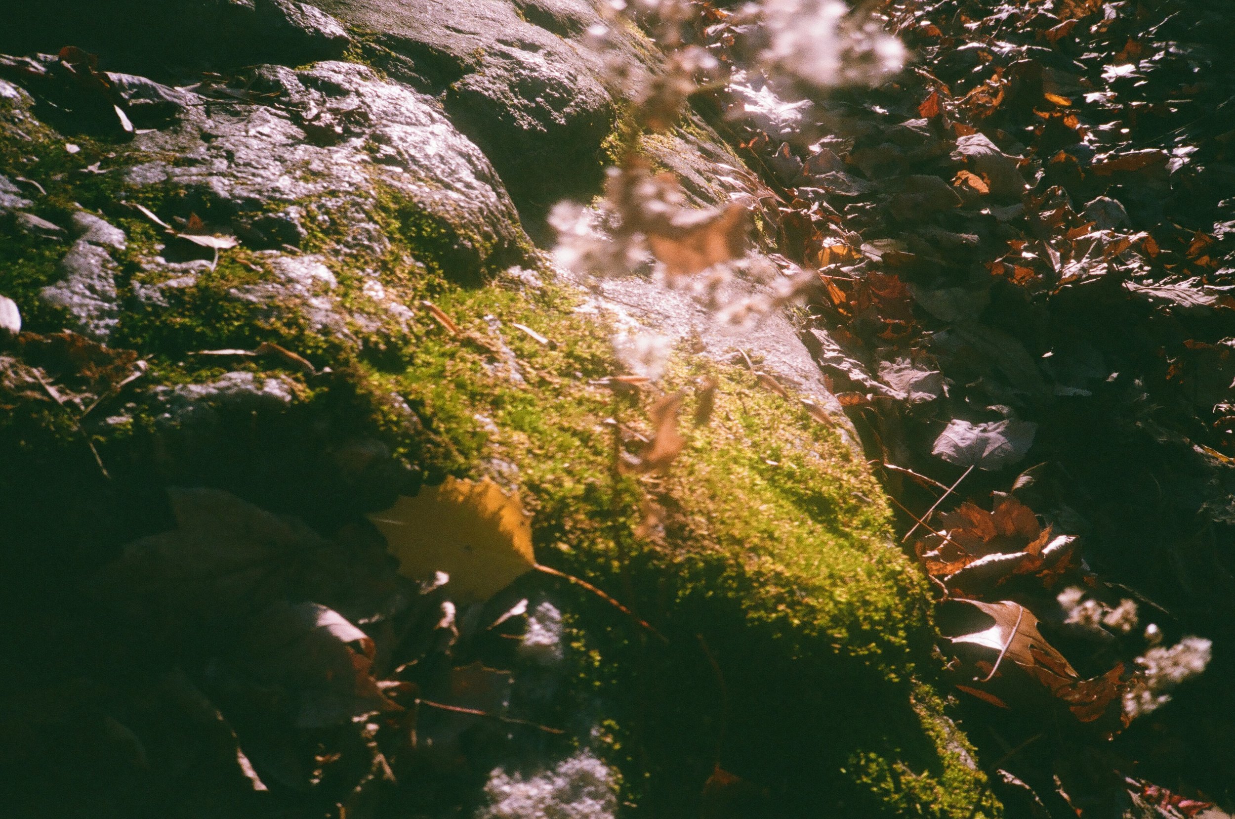 post 000086240009.jpg