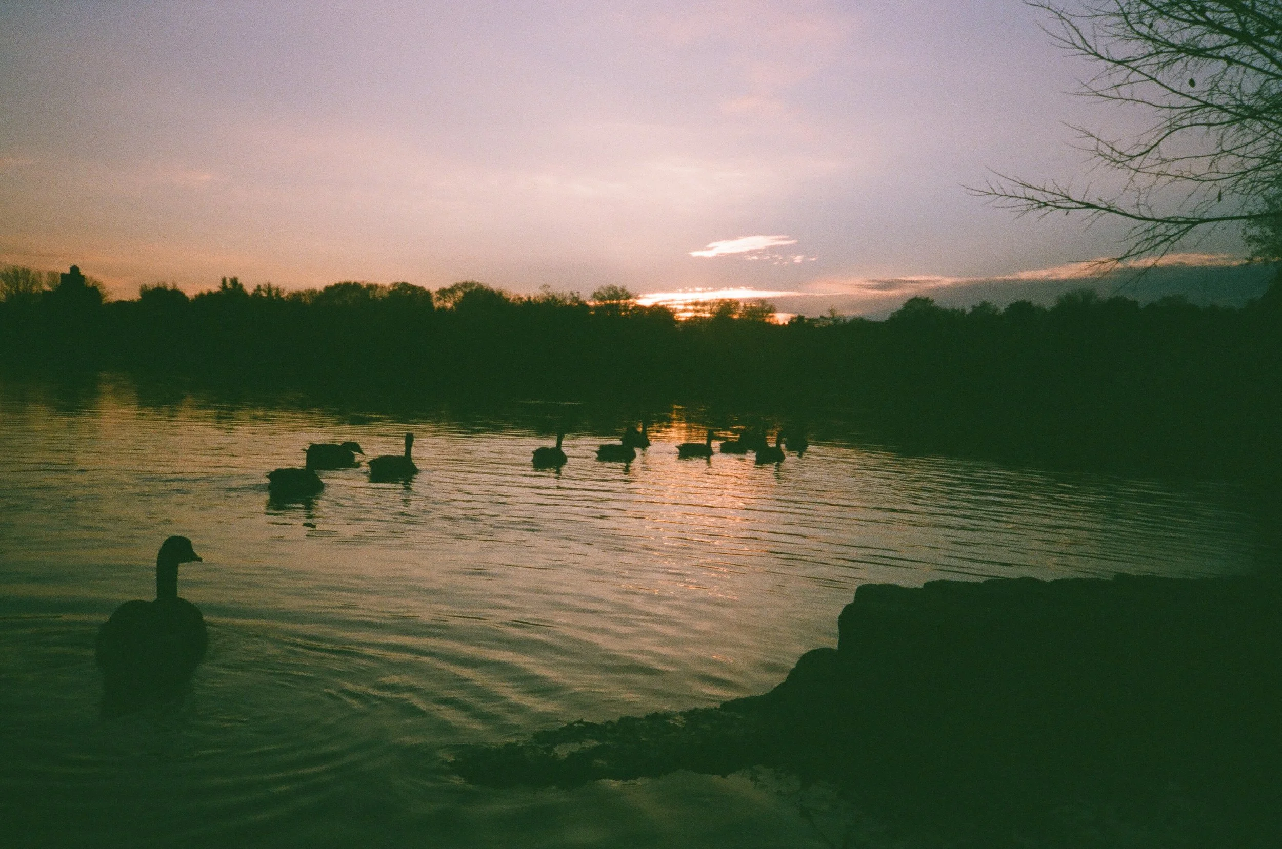 post 000086240035.jpg