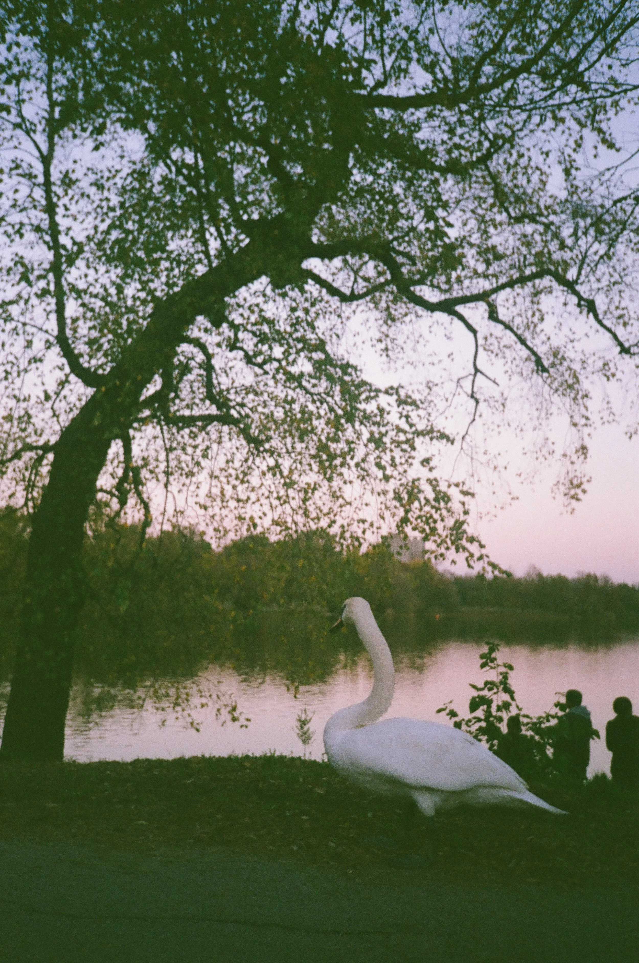 post 000086240036.jpg