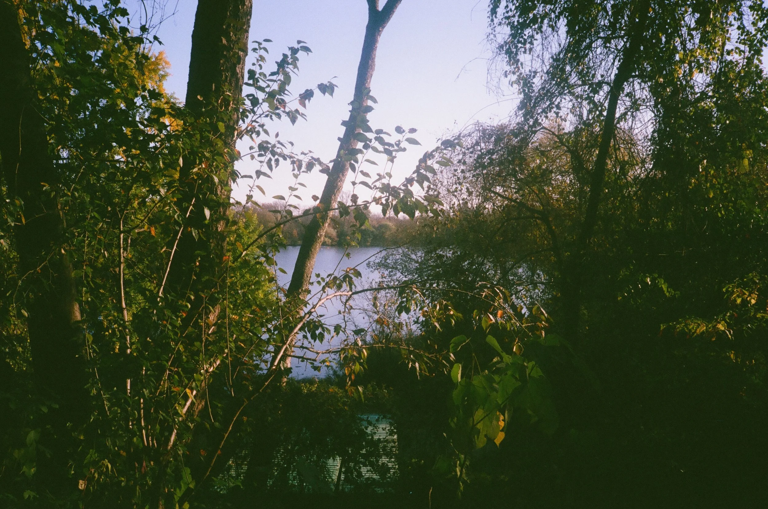 post 000086240024.jpg