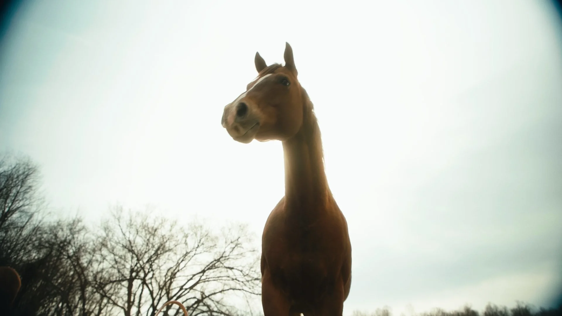 Untitled_1.25.1.jpg