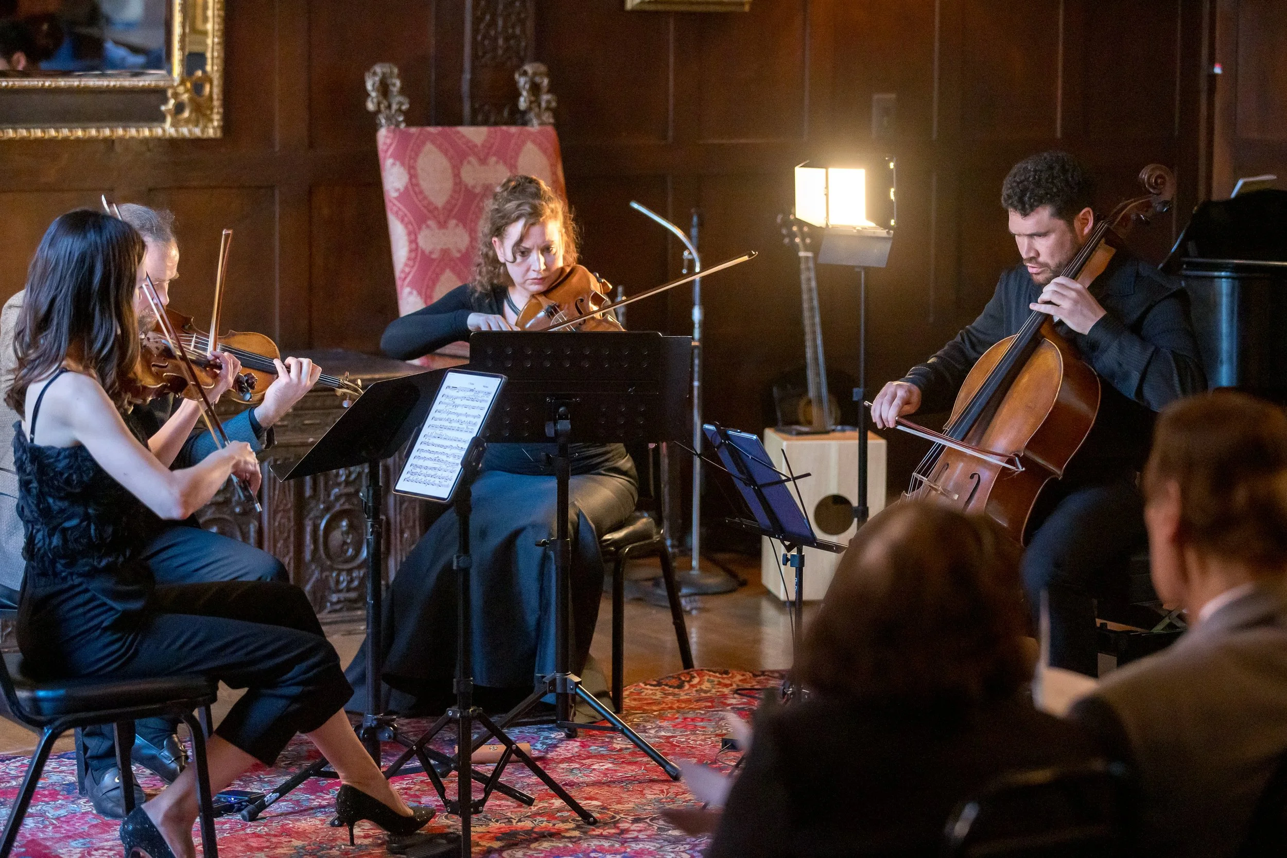 2606070078-ish-string-quartet_55343145756_o.jpg
