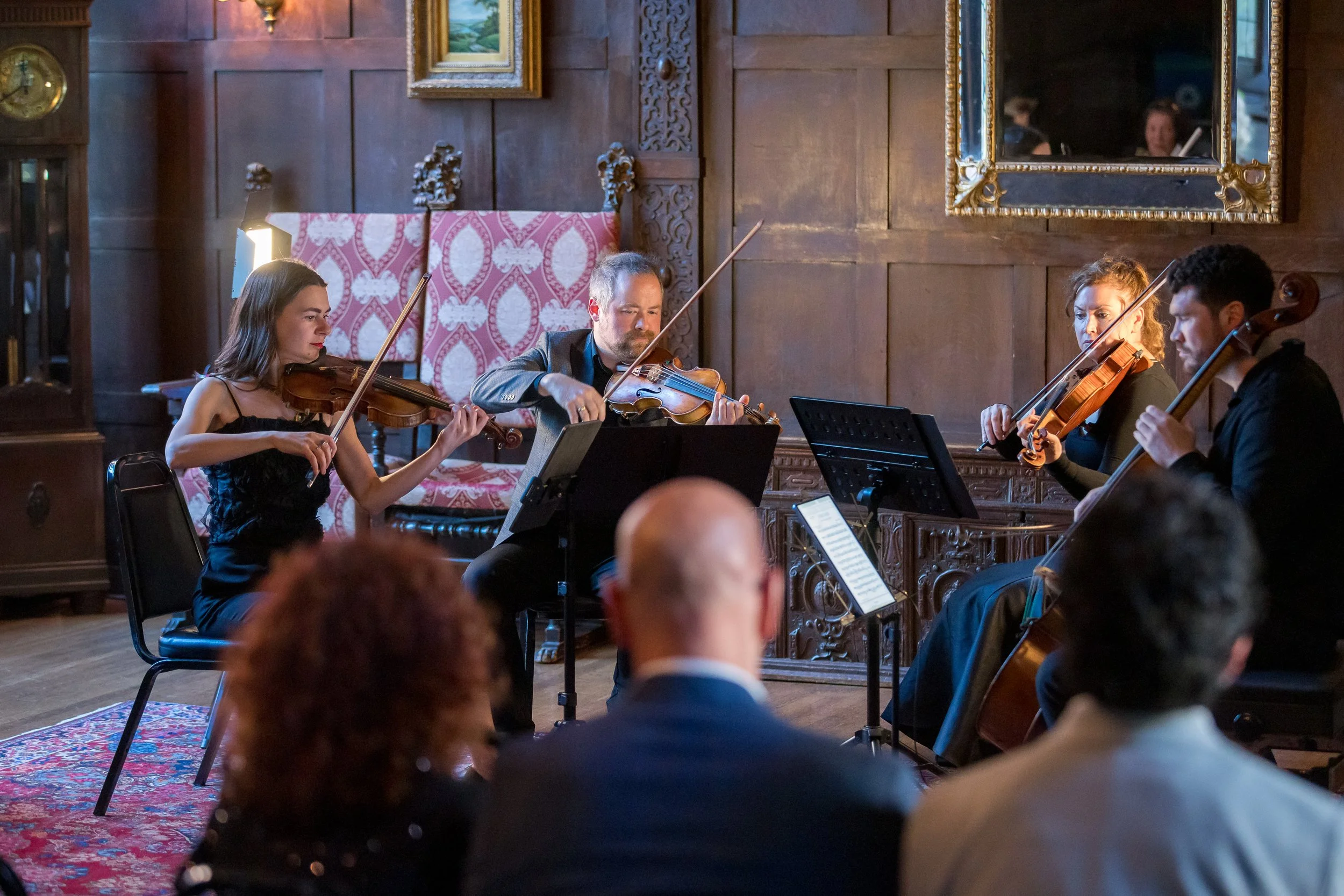 2606070071-ish-string-quartet_55343145926_o.jpg