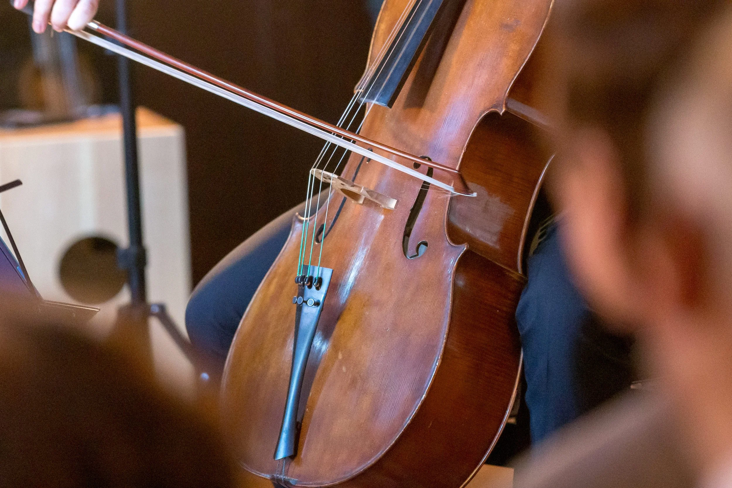 2606070091-ish-string-quartet_55343359919_o.jpg