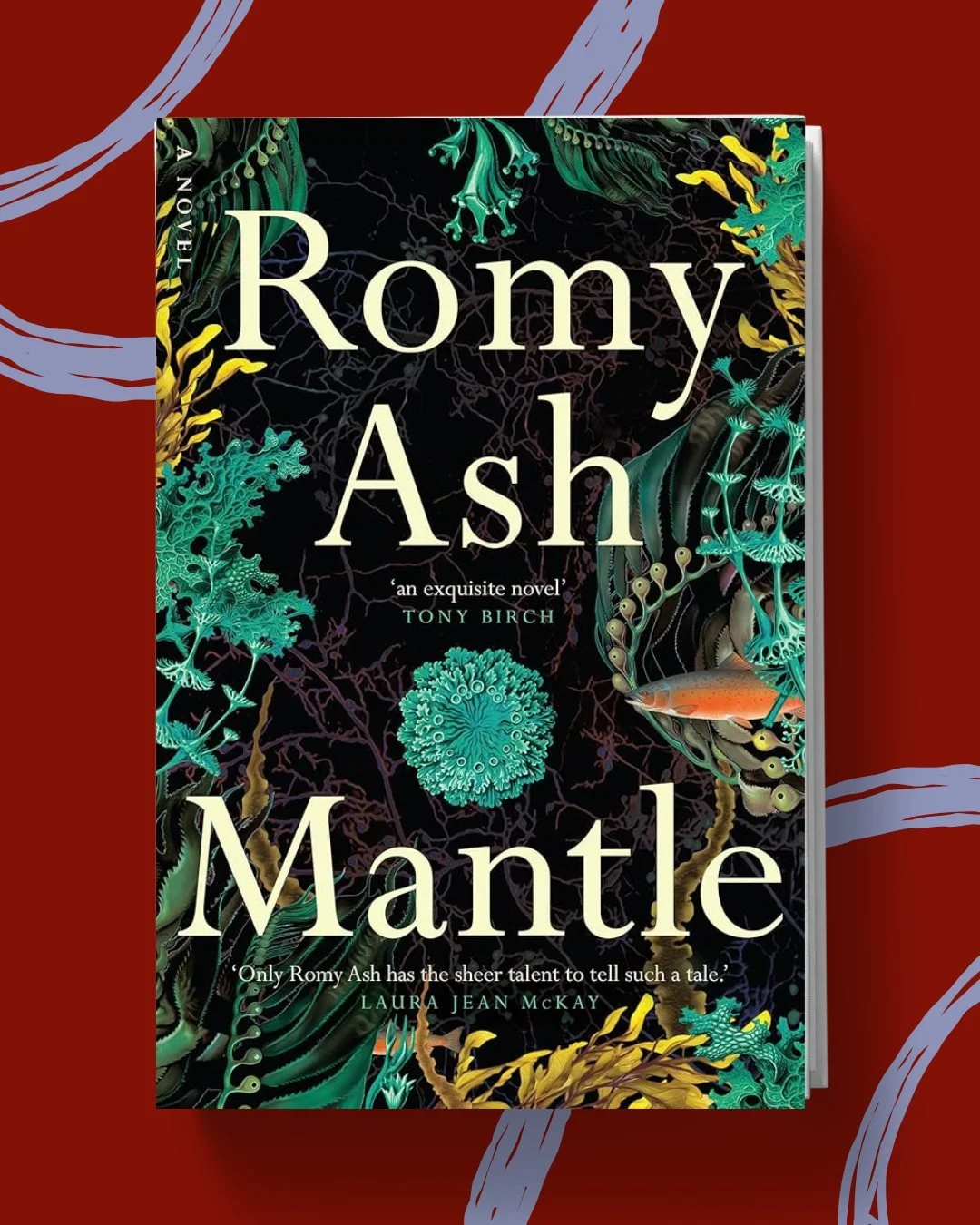 AUTHOR ANNOUNCEMENT | Romy Ash

We're delighted to welcome acclaimed writer Romy Ash to the Headland Writers Festival.

Based in Naarm/Melbourne, Romy writes novels, short stories, essays and children's books. Her latest novel, 𝙈𝙖𝙣𝙩𝙡𝙚, follows 