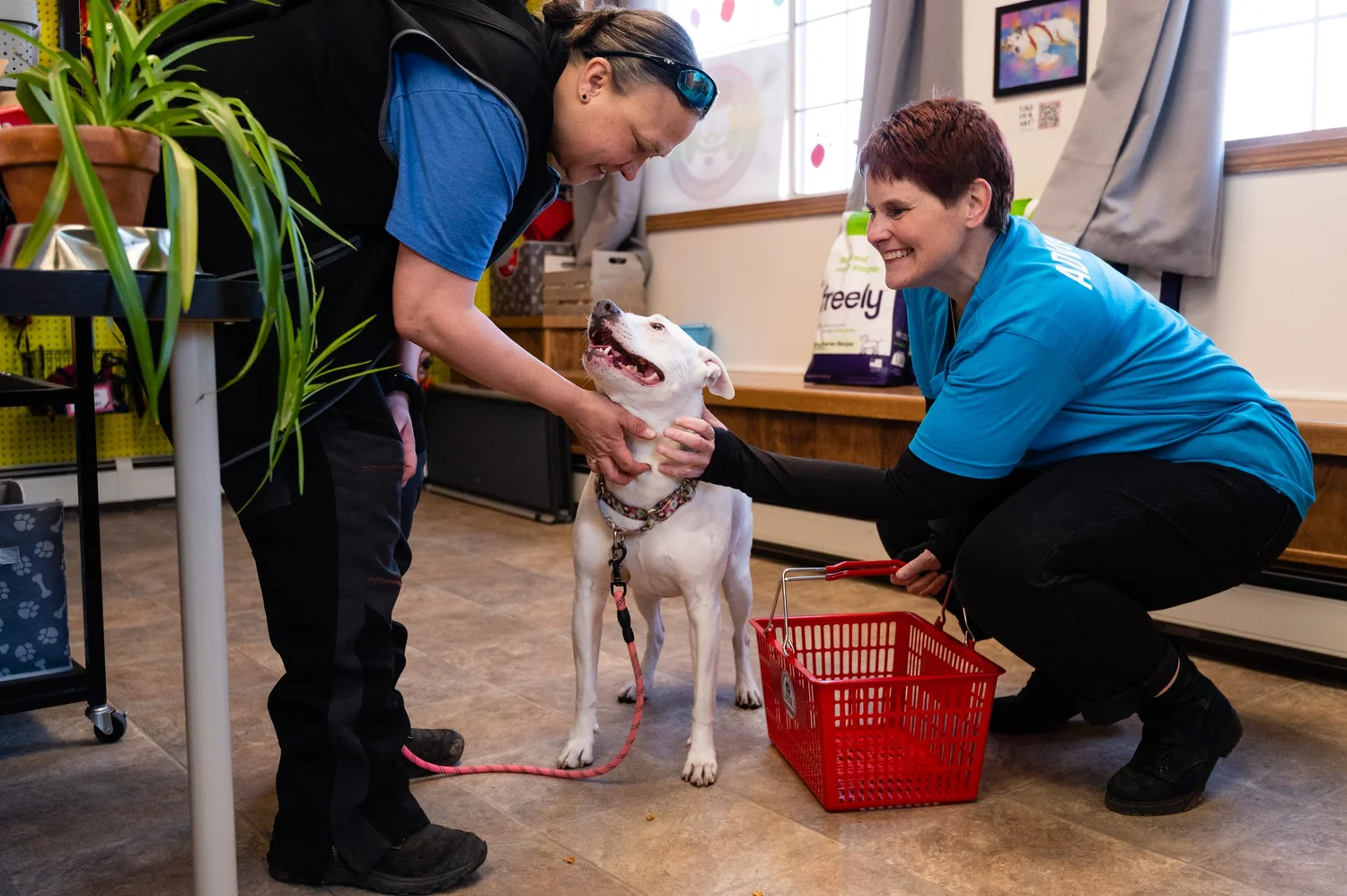 North Minneapolis Pet Resource Center — My Pit Bull is Family