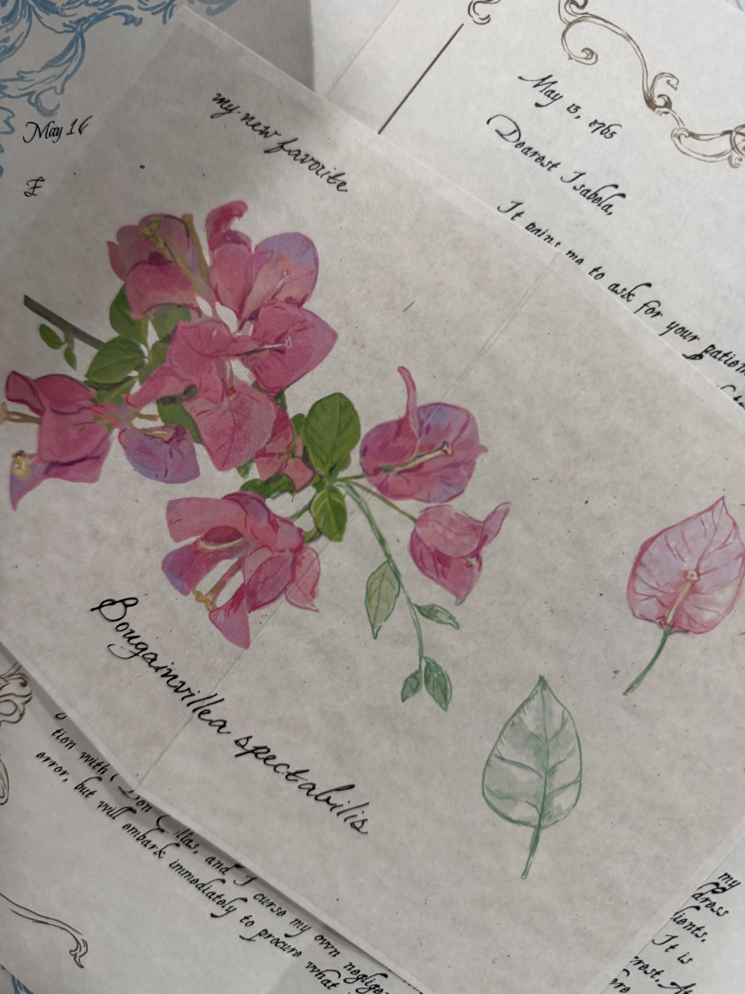 The Lost Letters Collection and Magpie Mail Club