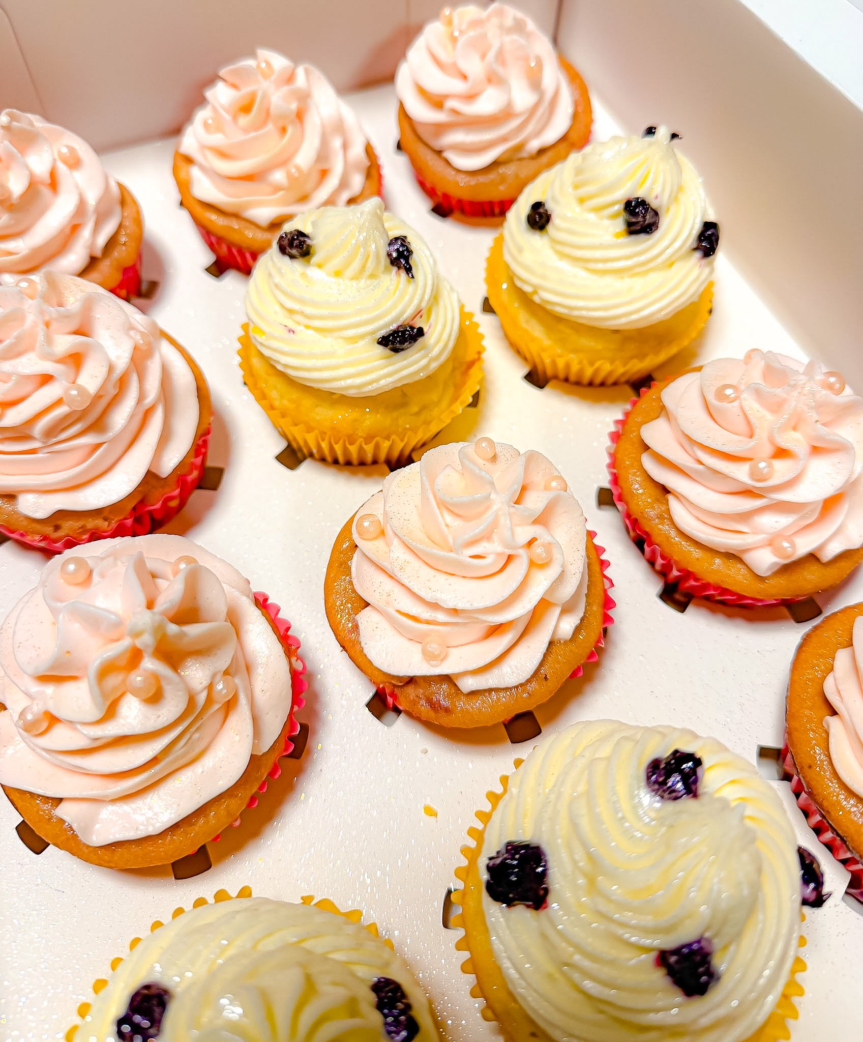 Petite Cupcake Collection