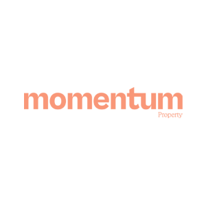 momentum.png
