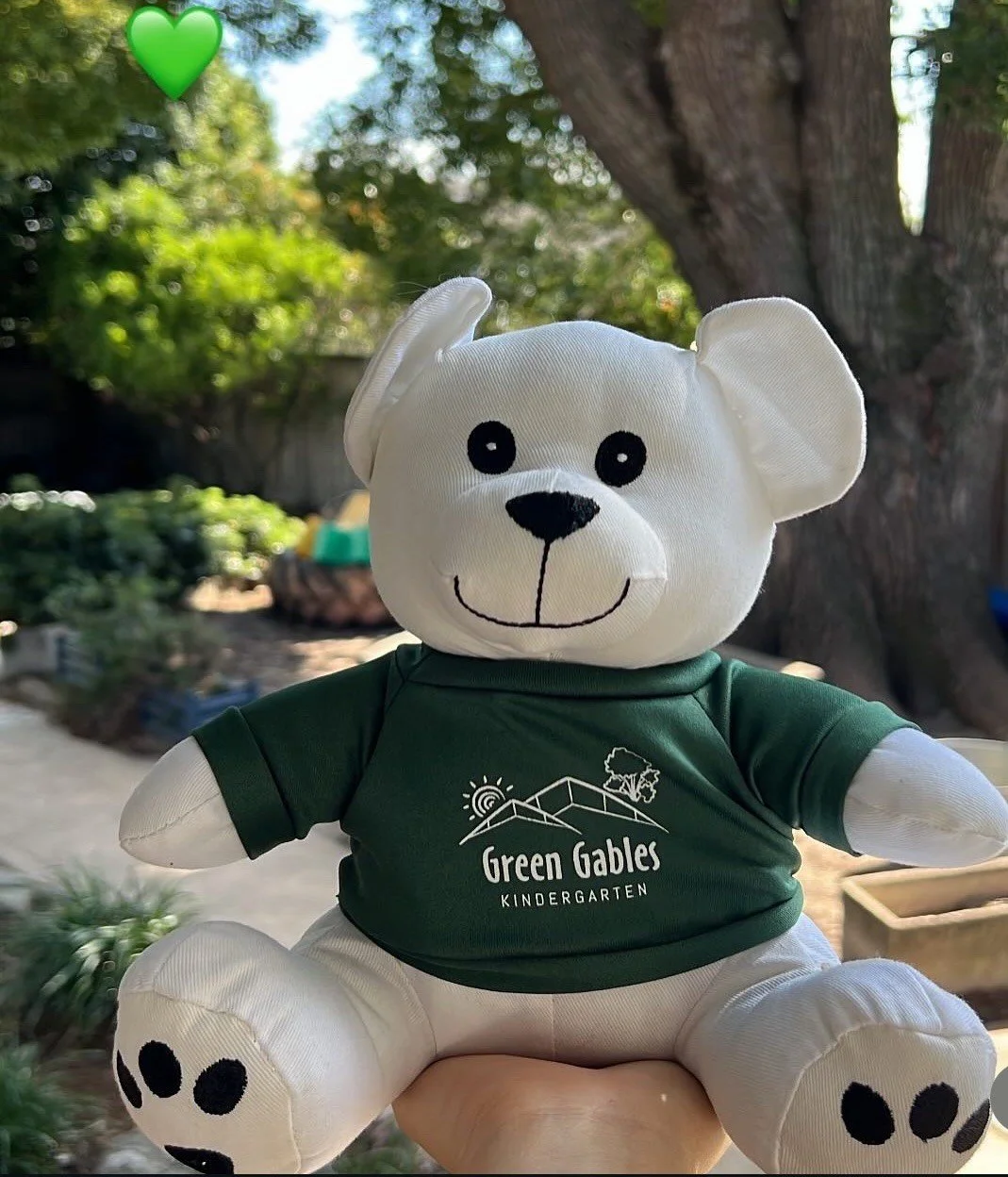 GG Bear - Instagram.jpg