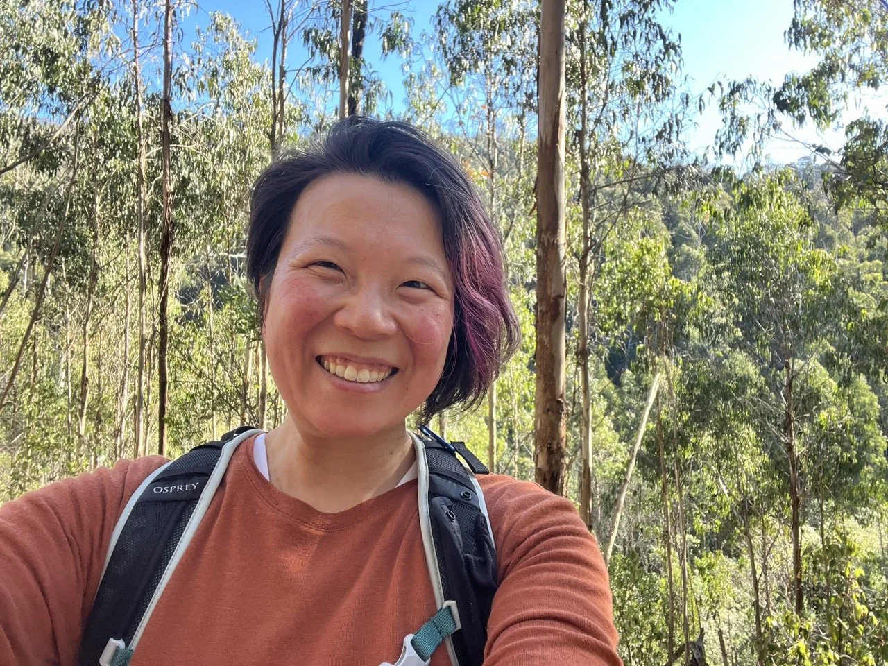 Practical Path to Everyday Courage