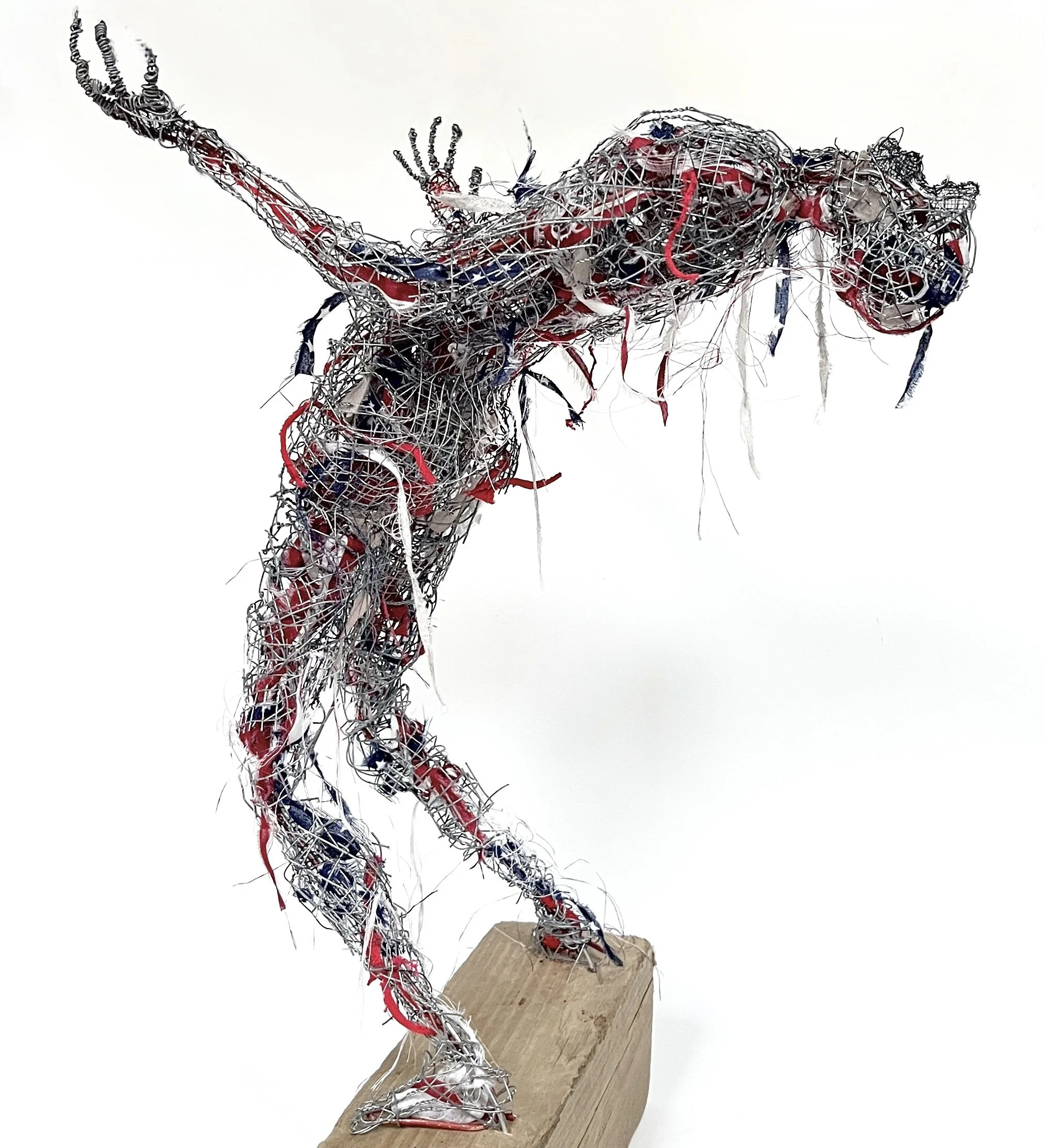 America 2025, 2025, wire, fabric, 20" x 14" x 12"