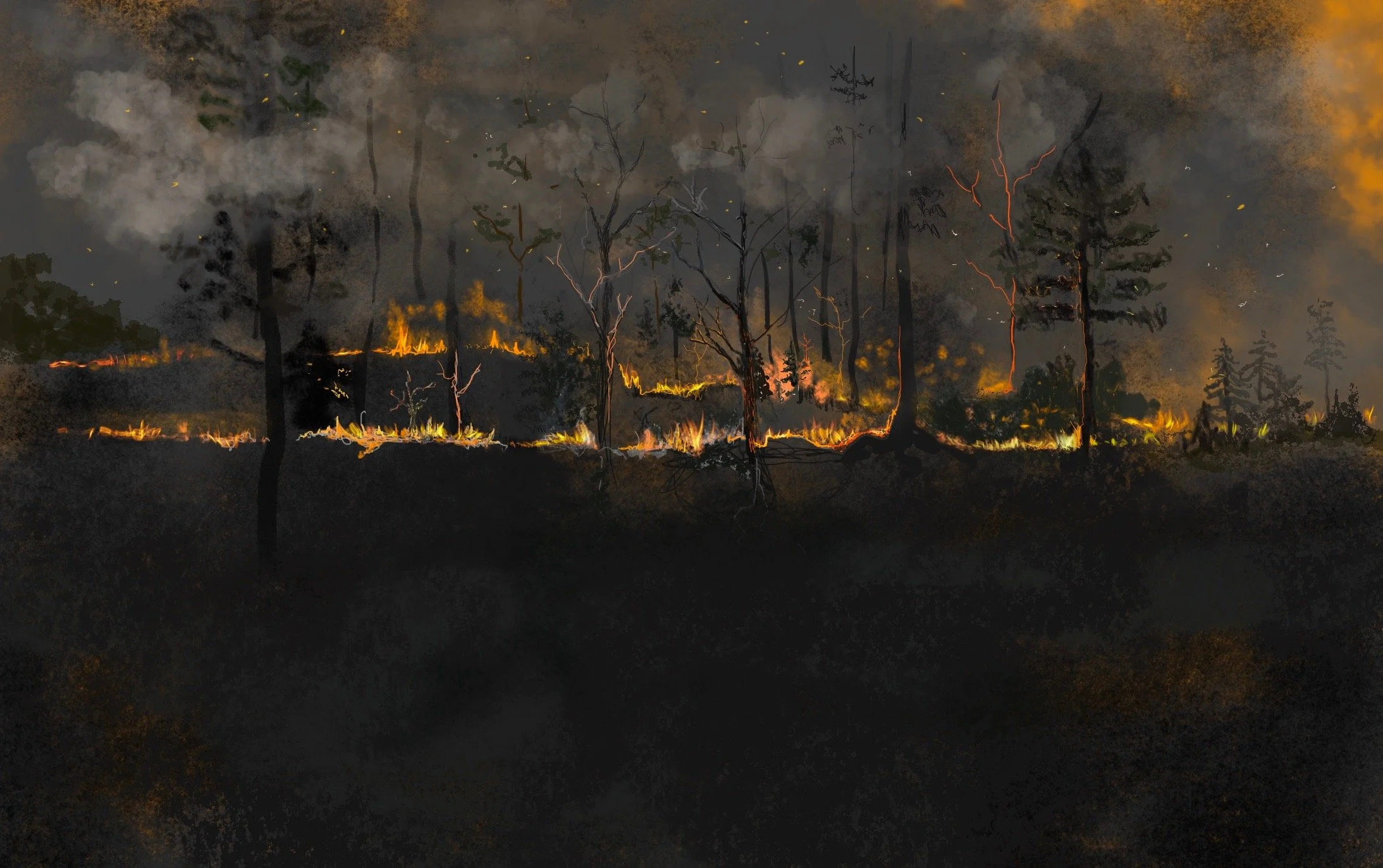 Forest Fire, Procreate, 2022, 10 1/2" x 16 1/2"