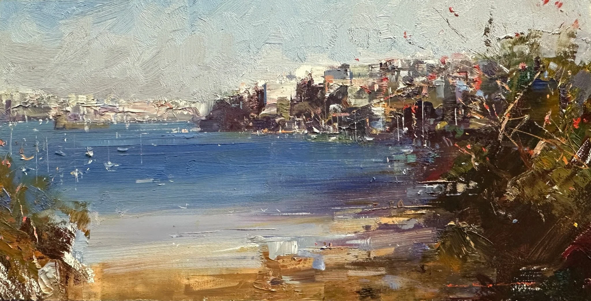 Shell Cove-Sydney Harbour 26 x 50 cm 2017 $4800.jpeg