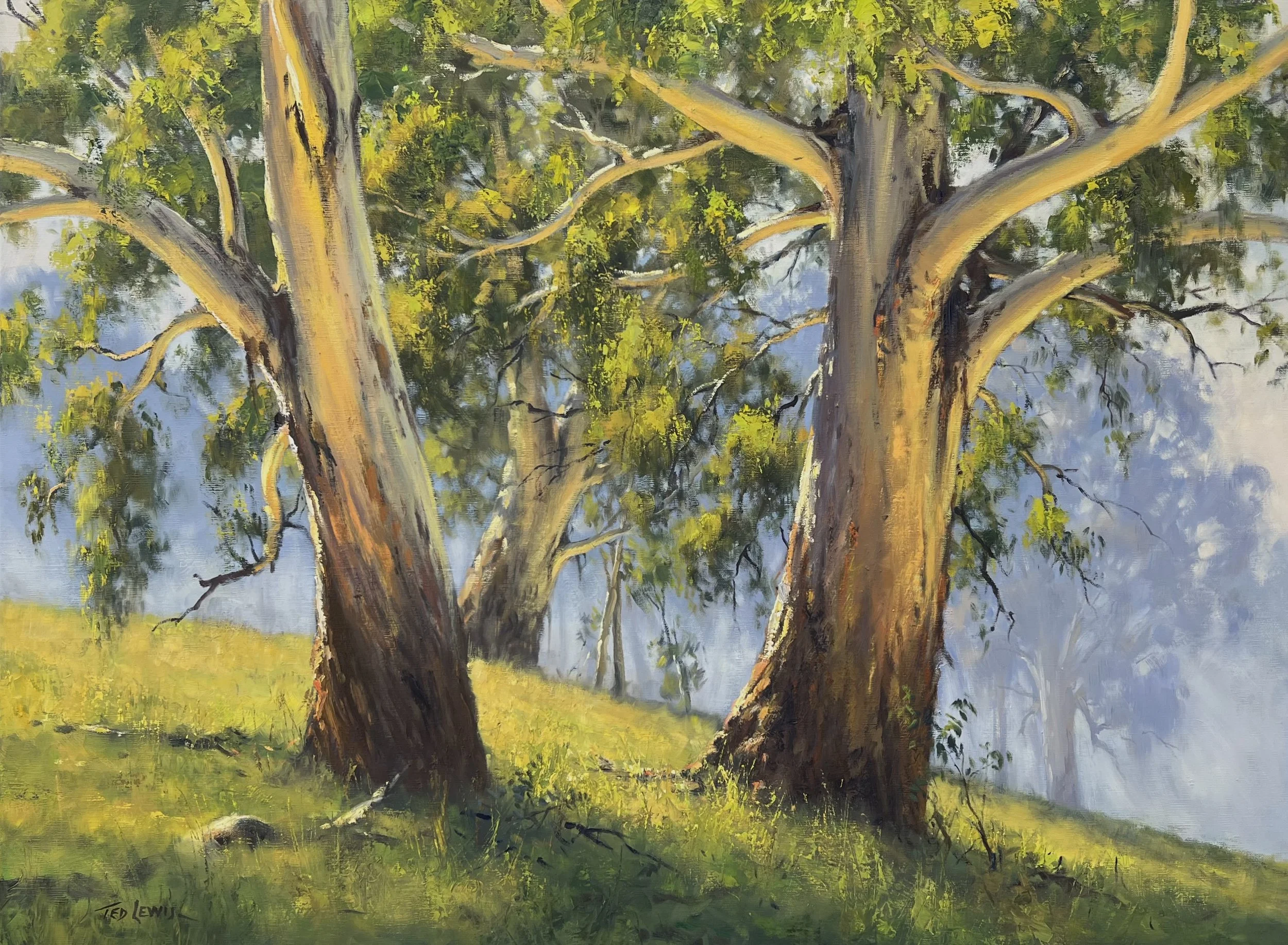 Ted Lewis “Above the fog”