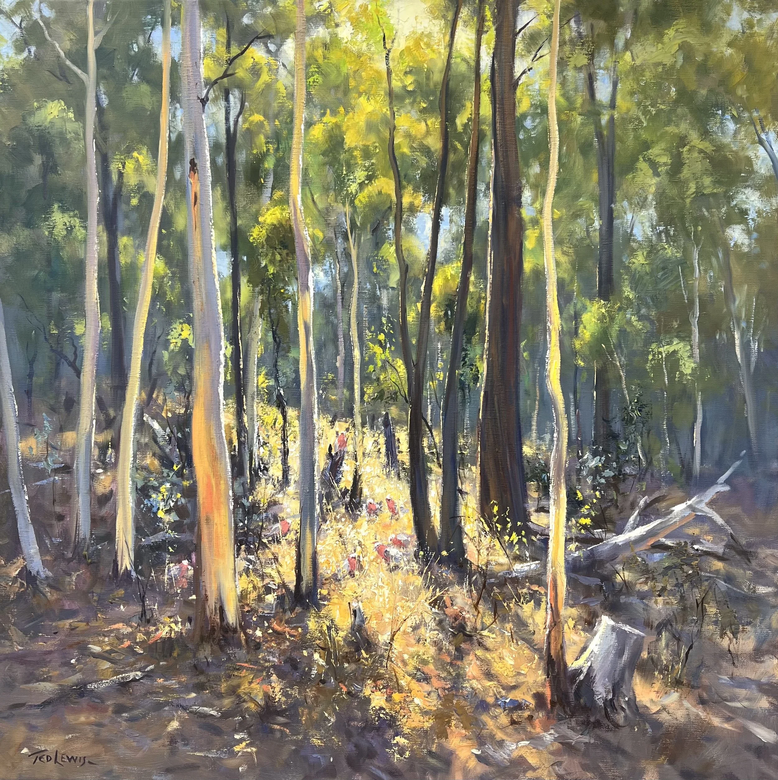 Ted Lewis “Light and Shadows”