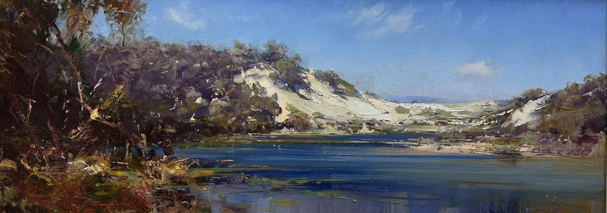 Sanddune-Berrara 39 x 101 cm 2003 $9800.jpeg