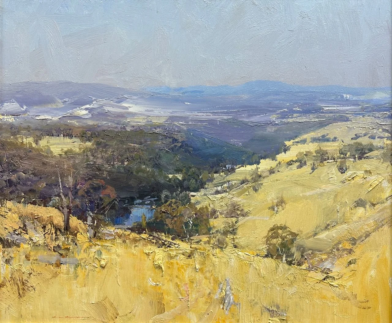 The Murrumbidgee River from Shepherds Lookout 55 x 65 cm 2023 $9500.jpeg