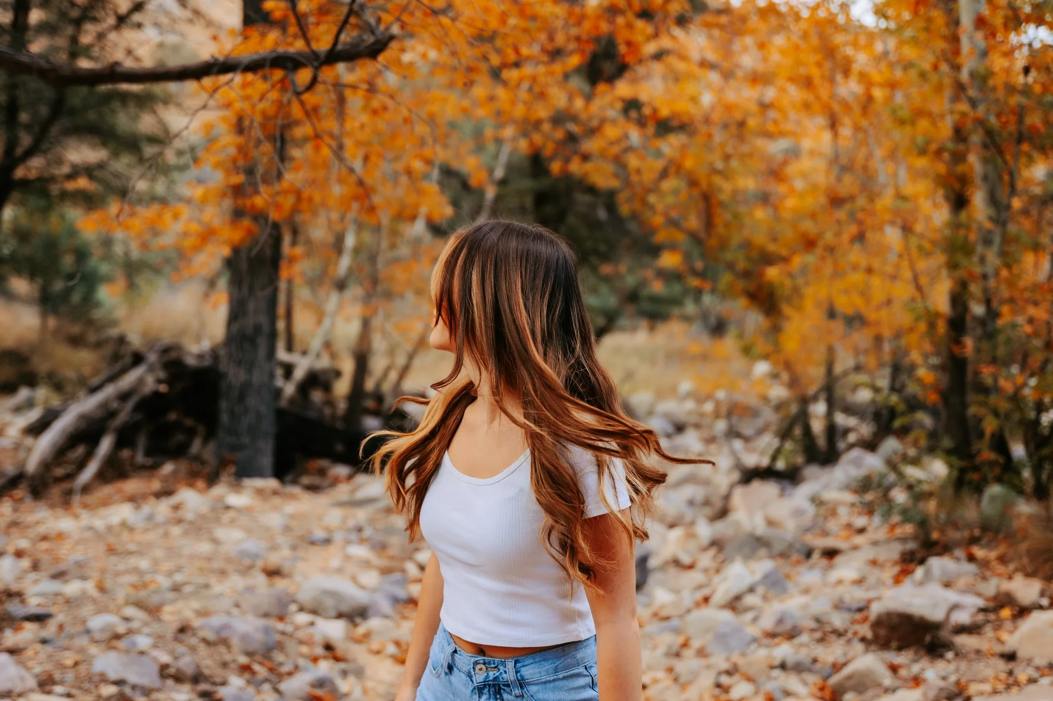 Ava small-3.jpg