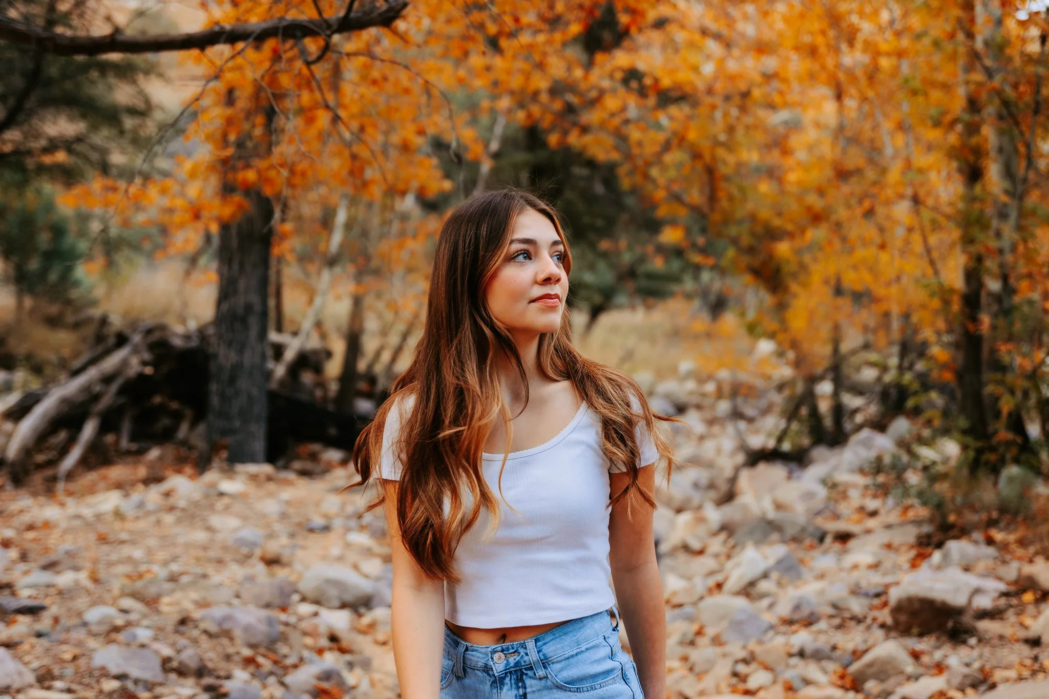 Ava small-4.jpg