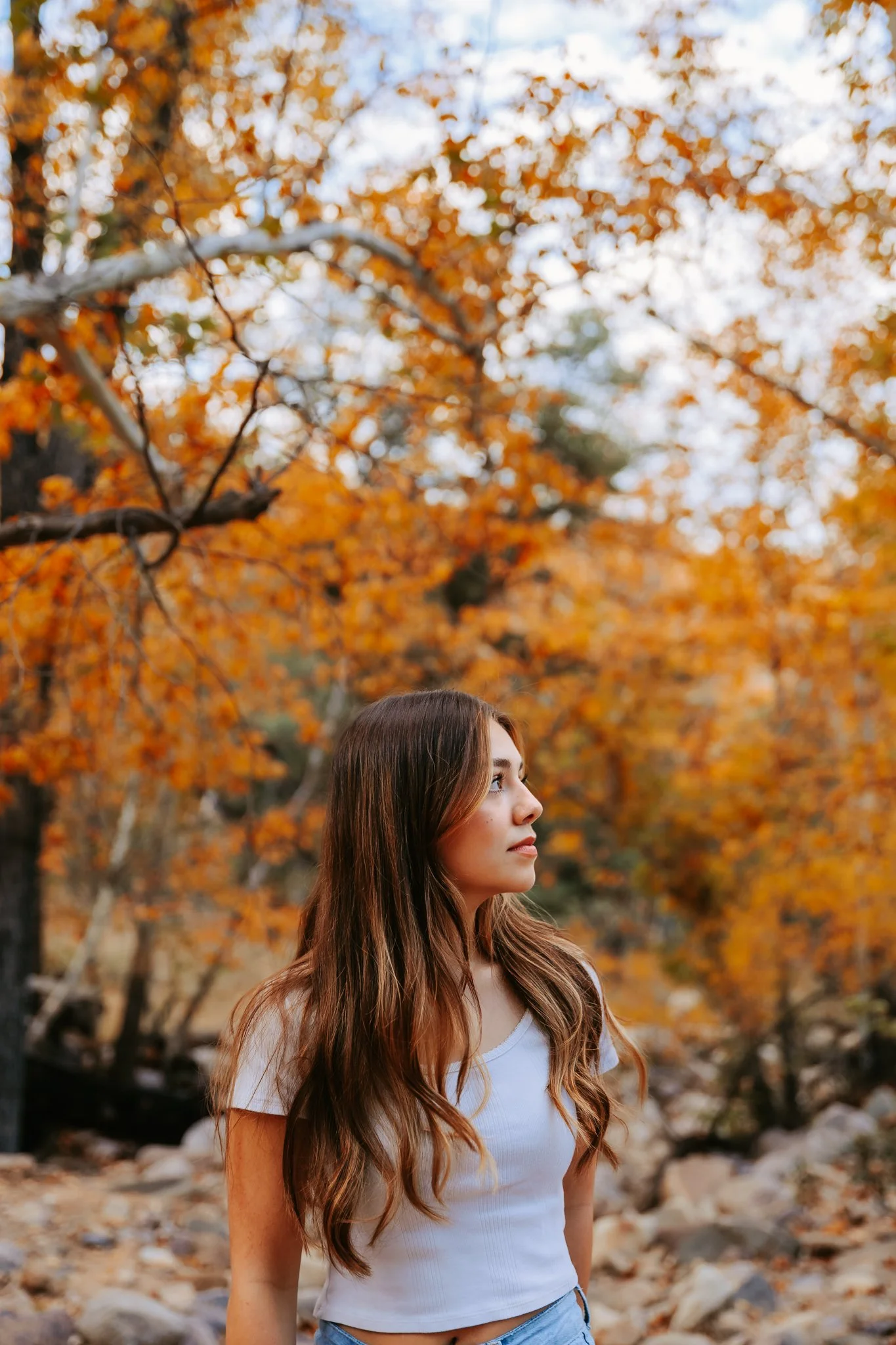 Ava small-5.jpg