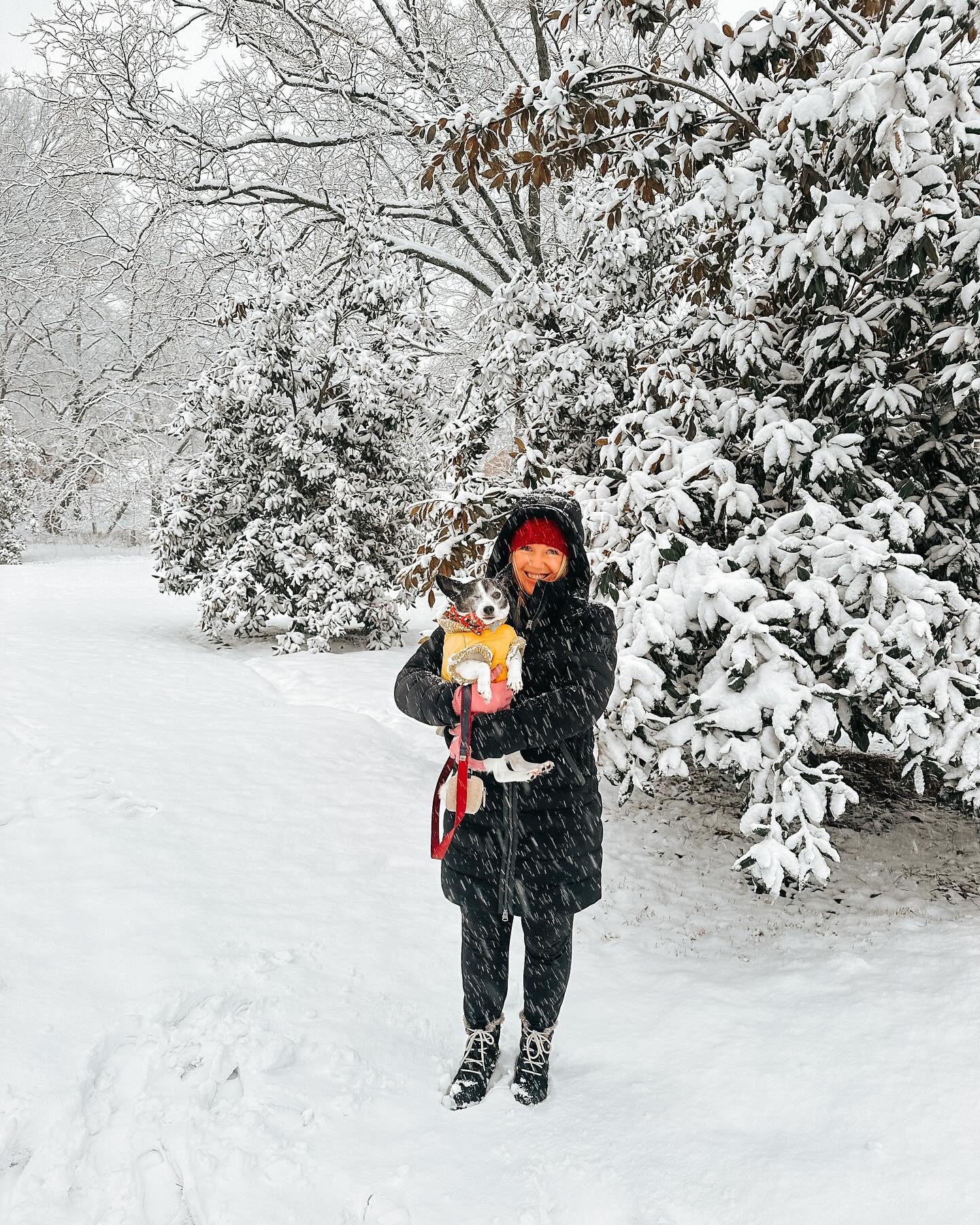 Snow day❄️