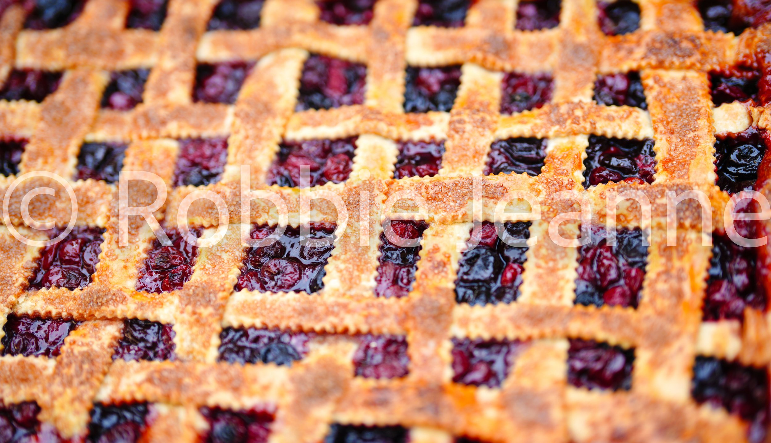 SN-WEB-4.jpg