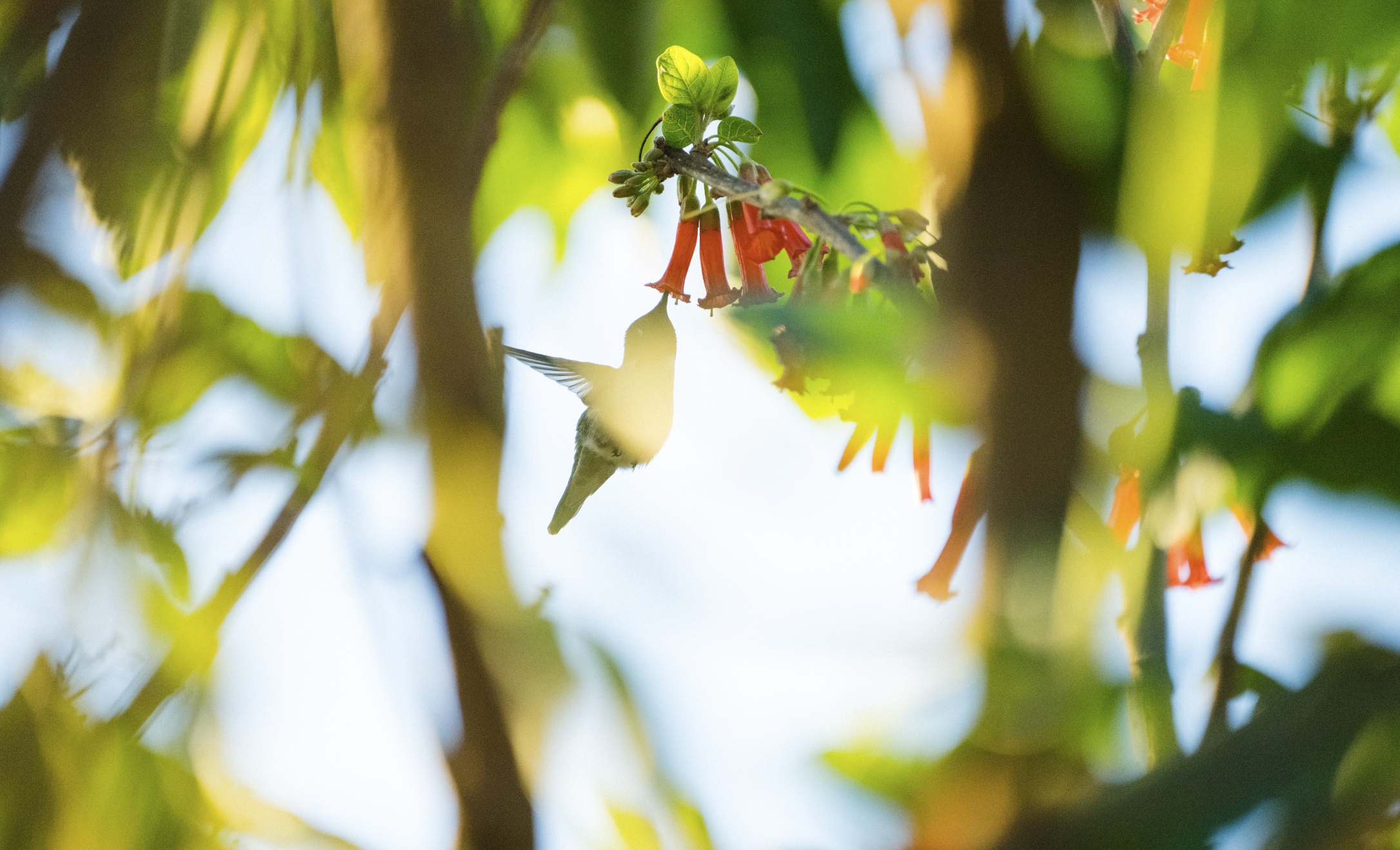 Screenshot 2026-03-02 at 4.28.01 PM.png