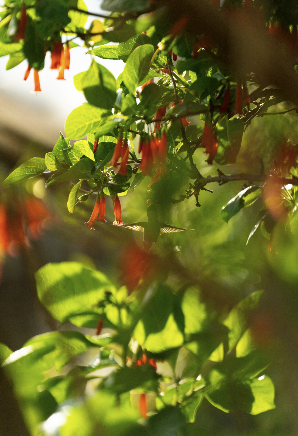 Screenshot 2026-03-02 at 4.31.12 PM.png