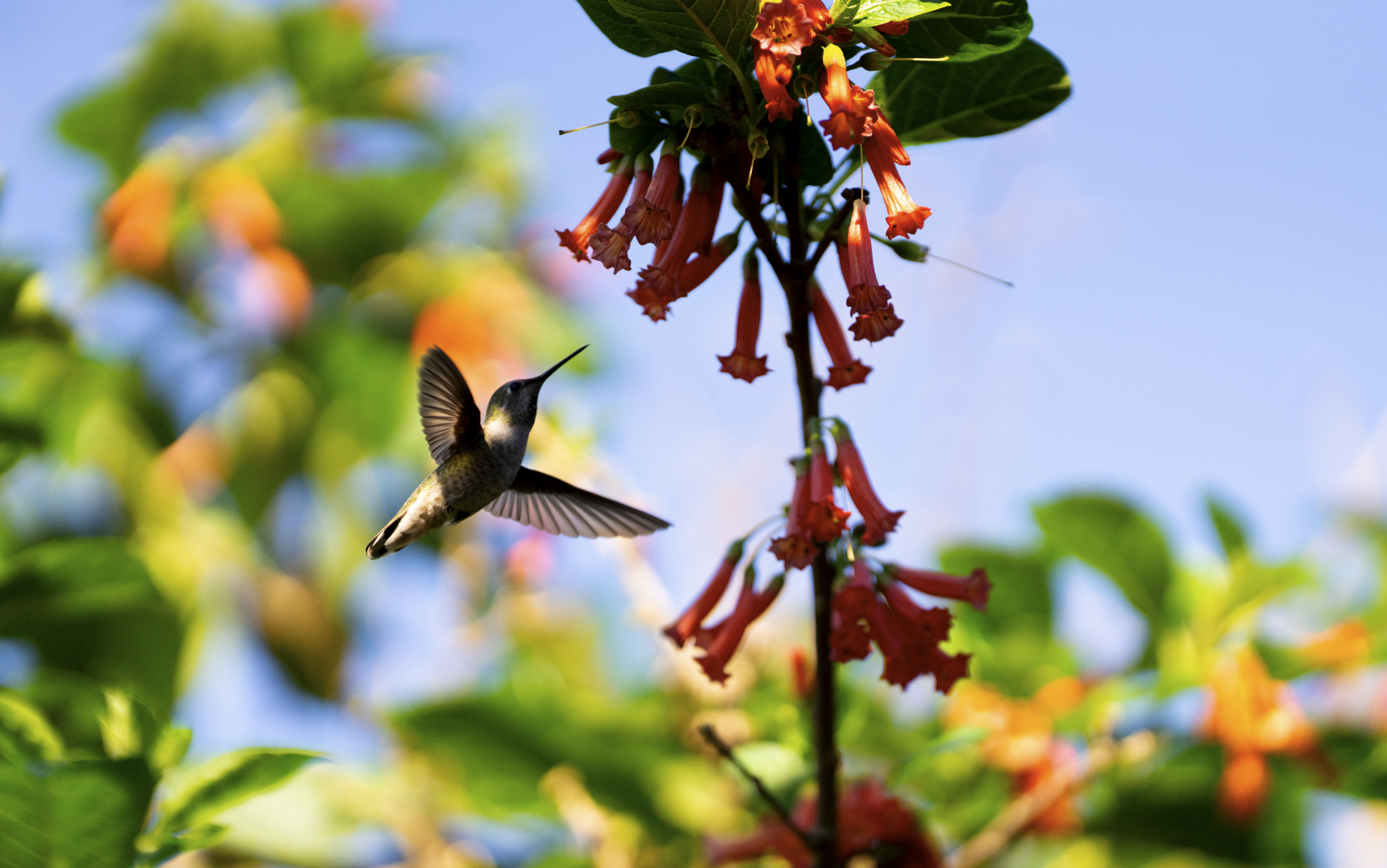 Screenshot 2026-03-02 at 4.31.28 PM.png