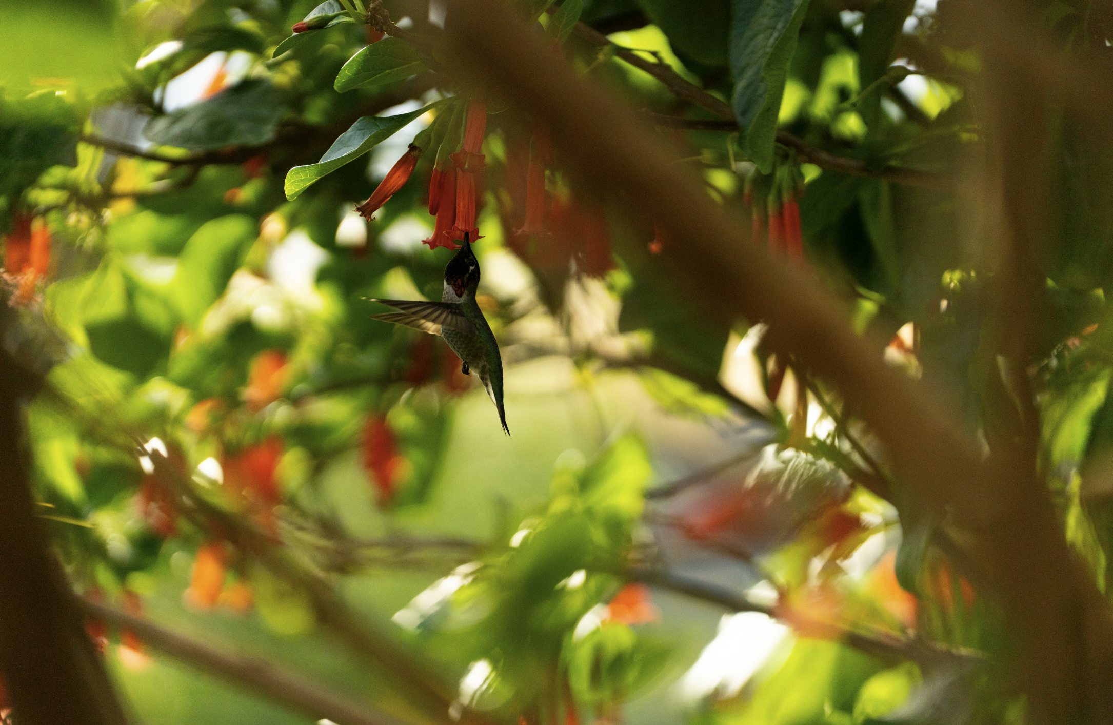 Screenshot 2026-03-02 at 4.30.49 PM.png