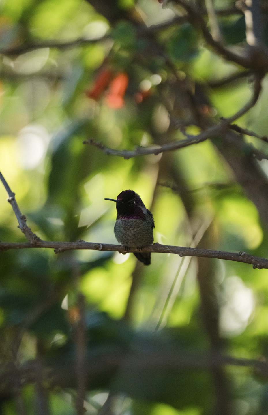 Screenshot 2026-03-02 at 4.27.24 PM.png