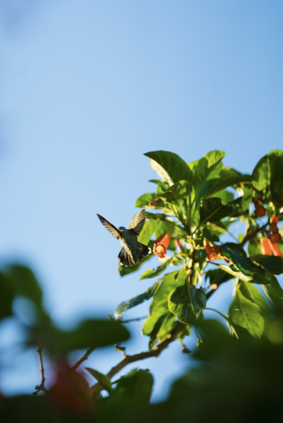 Screenshot 2026-03-02 at 4.29.14 PM.png