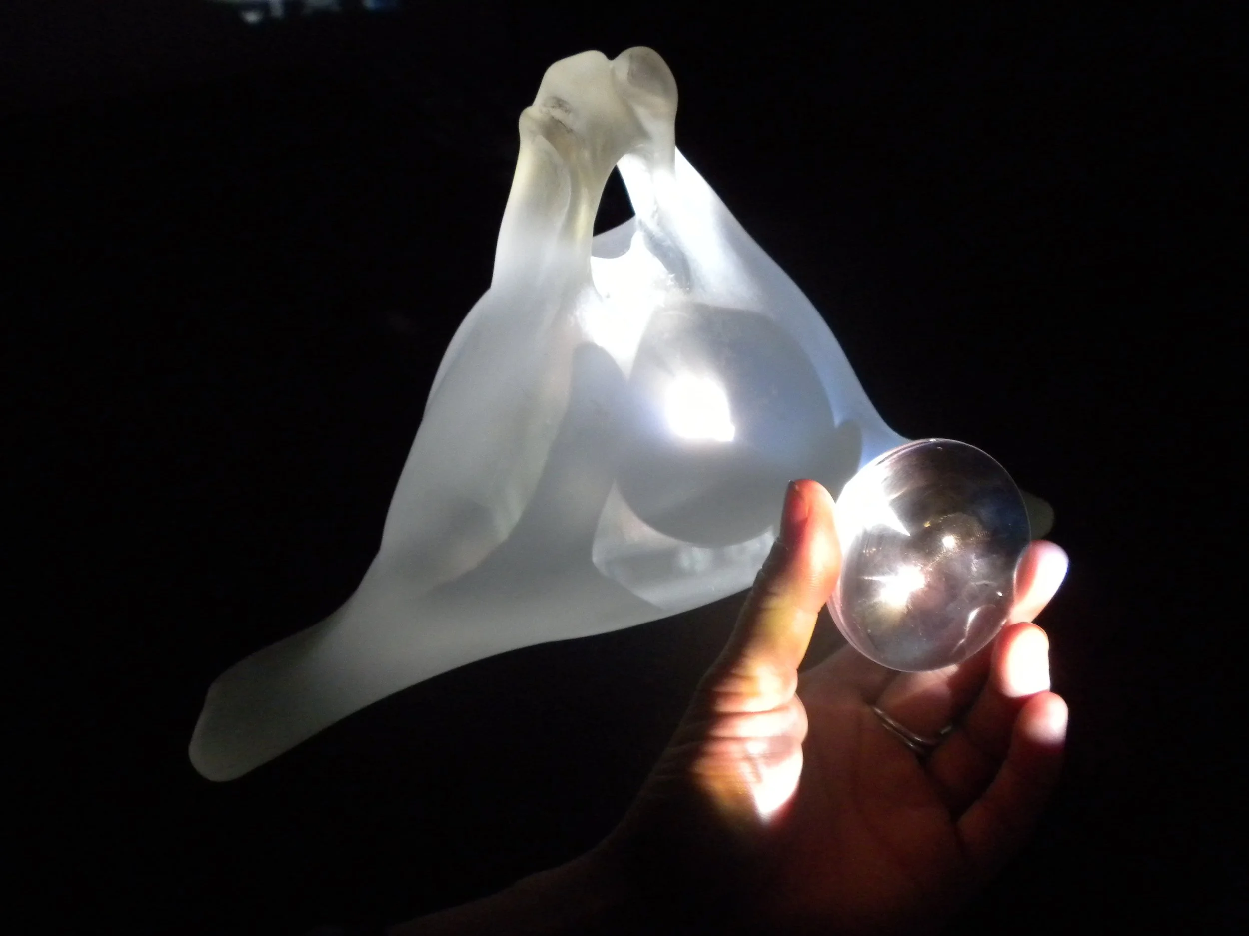 Bone Video Projection.JPG