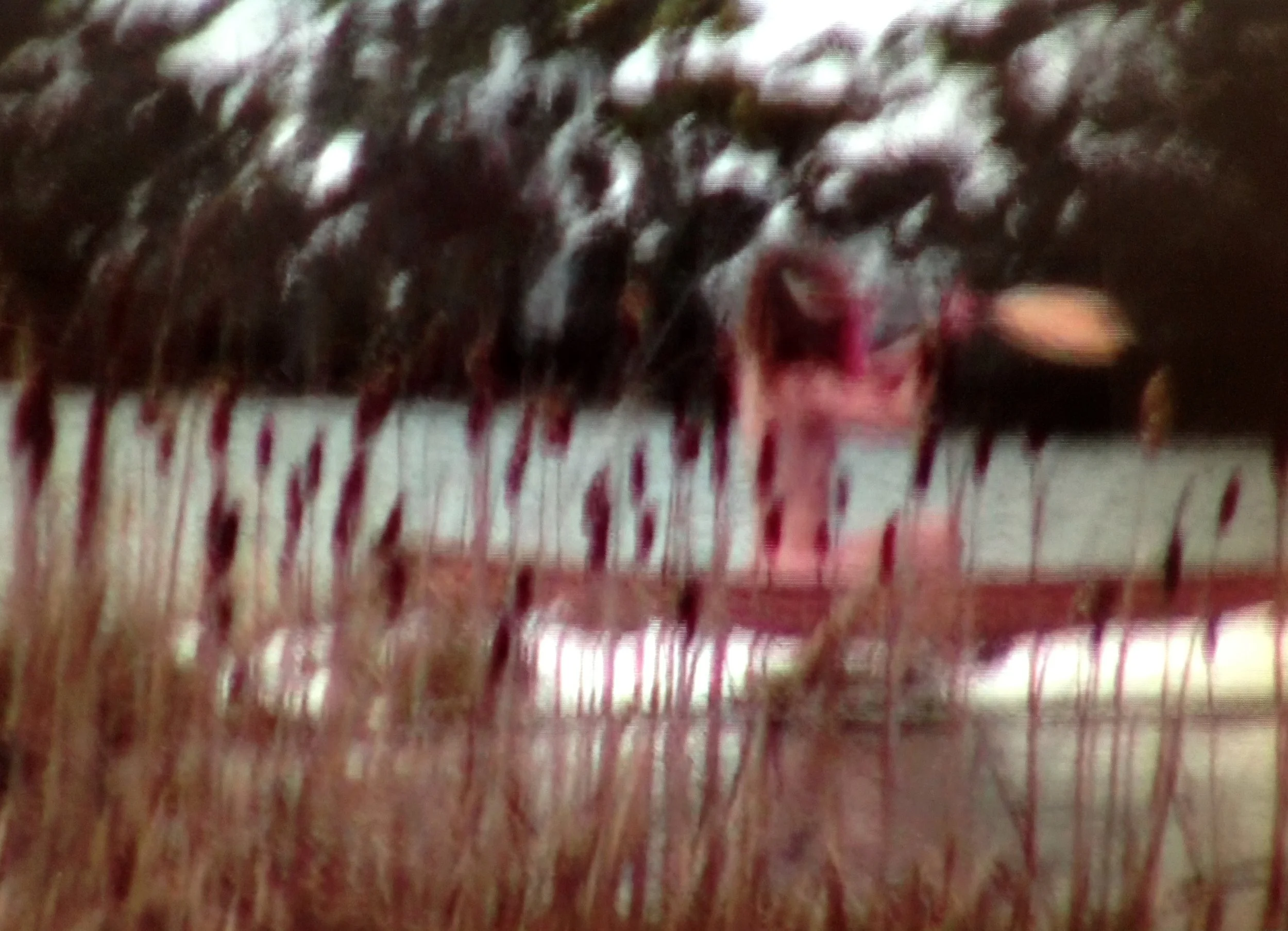 Shack Paddle A.JPG