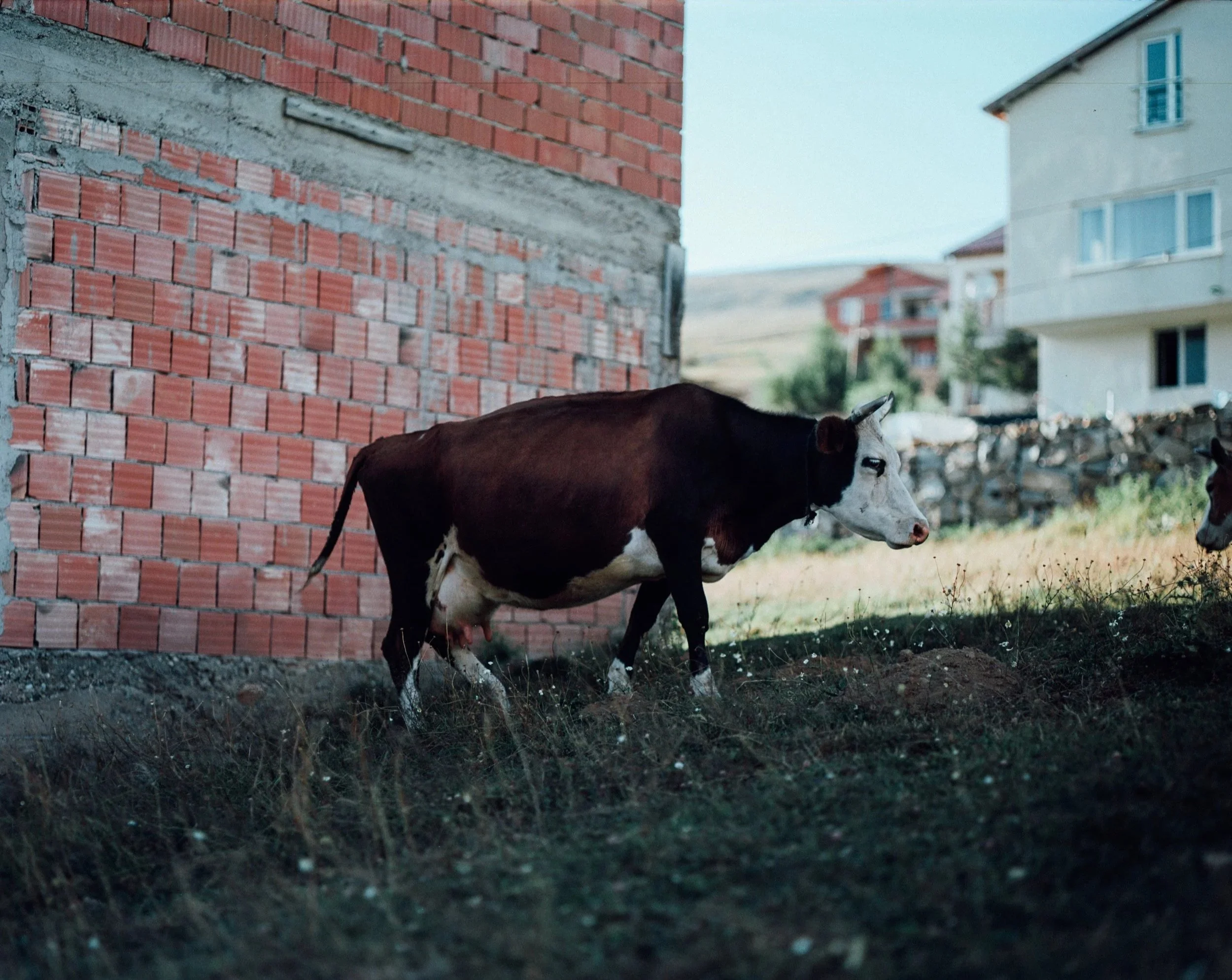 img0002_huzunluinek.jpg