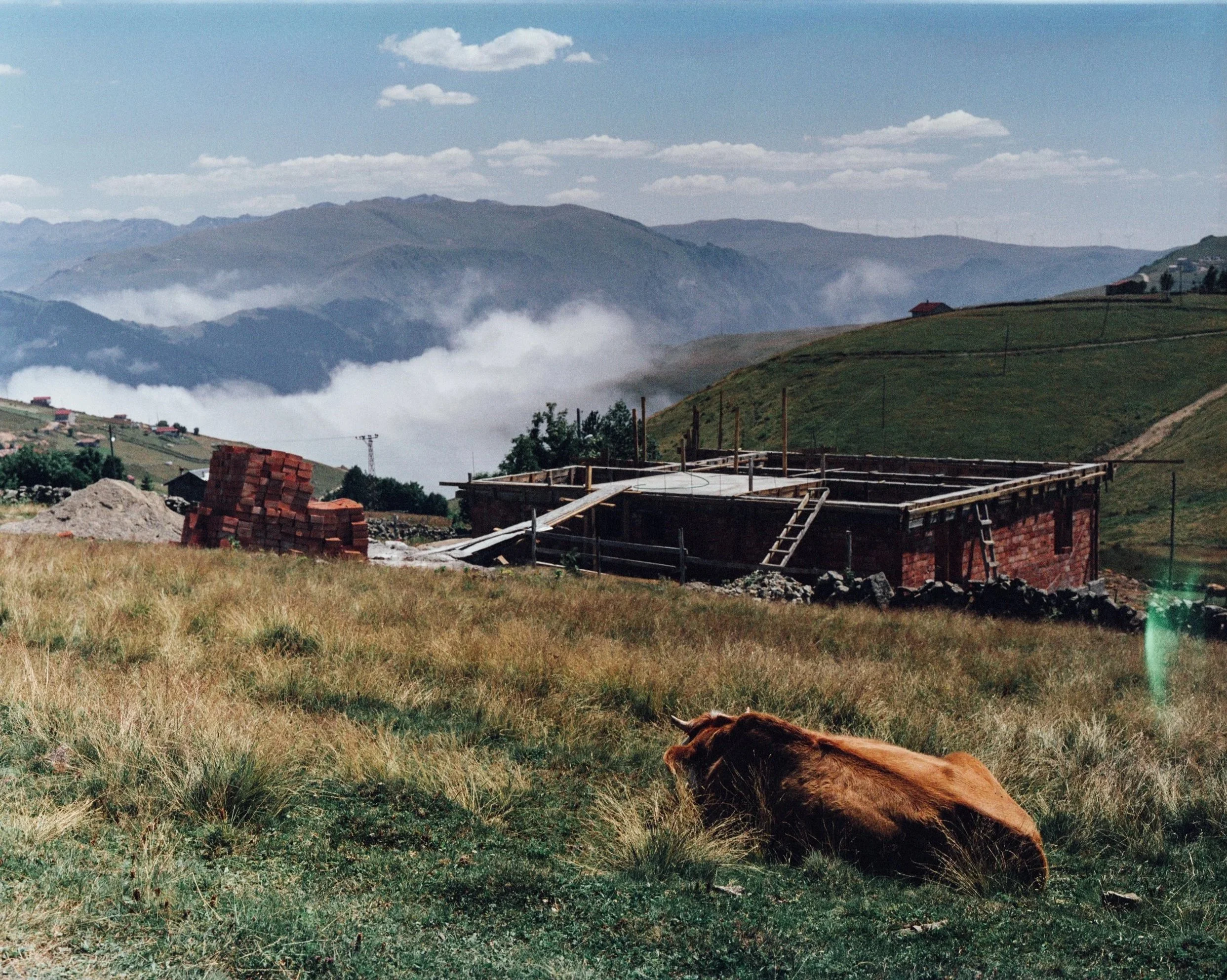 img0009_inek.jpg